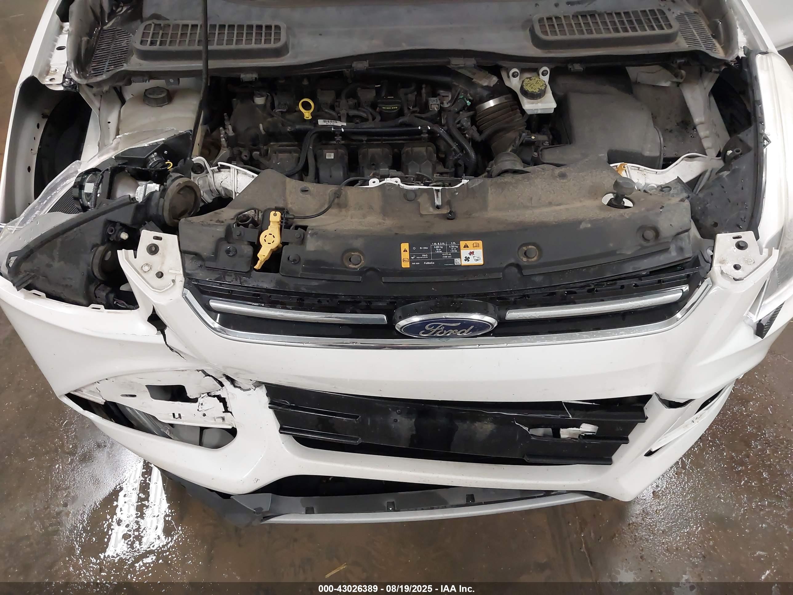 FORD ESCAPE image 10