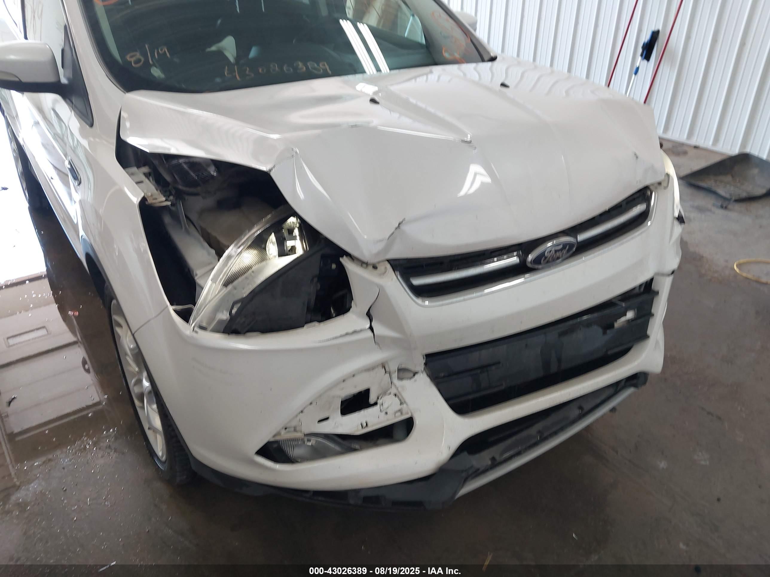 FORD ESCAPE image 6