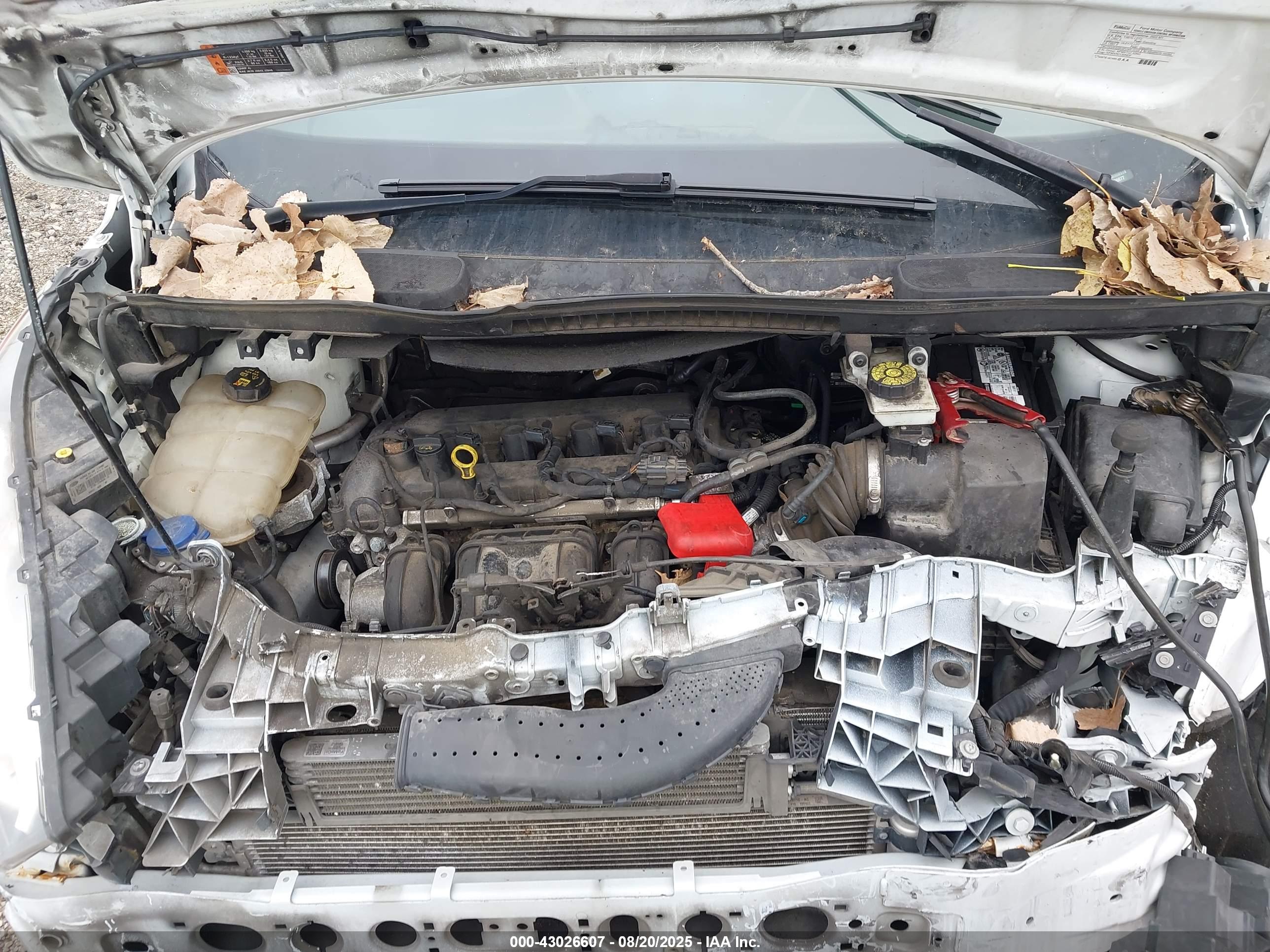 FORD TRANSIT image 10