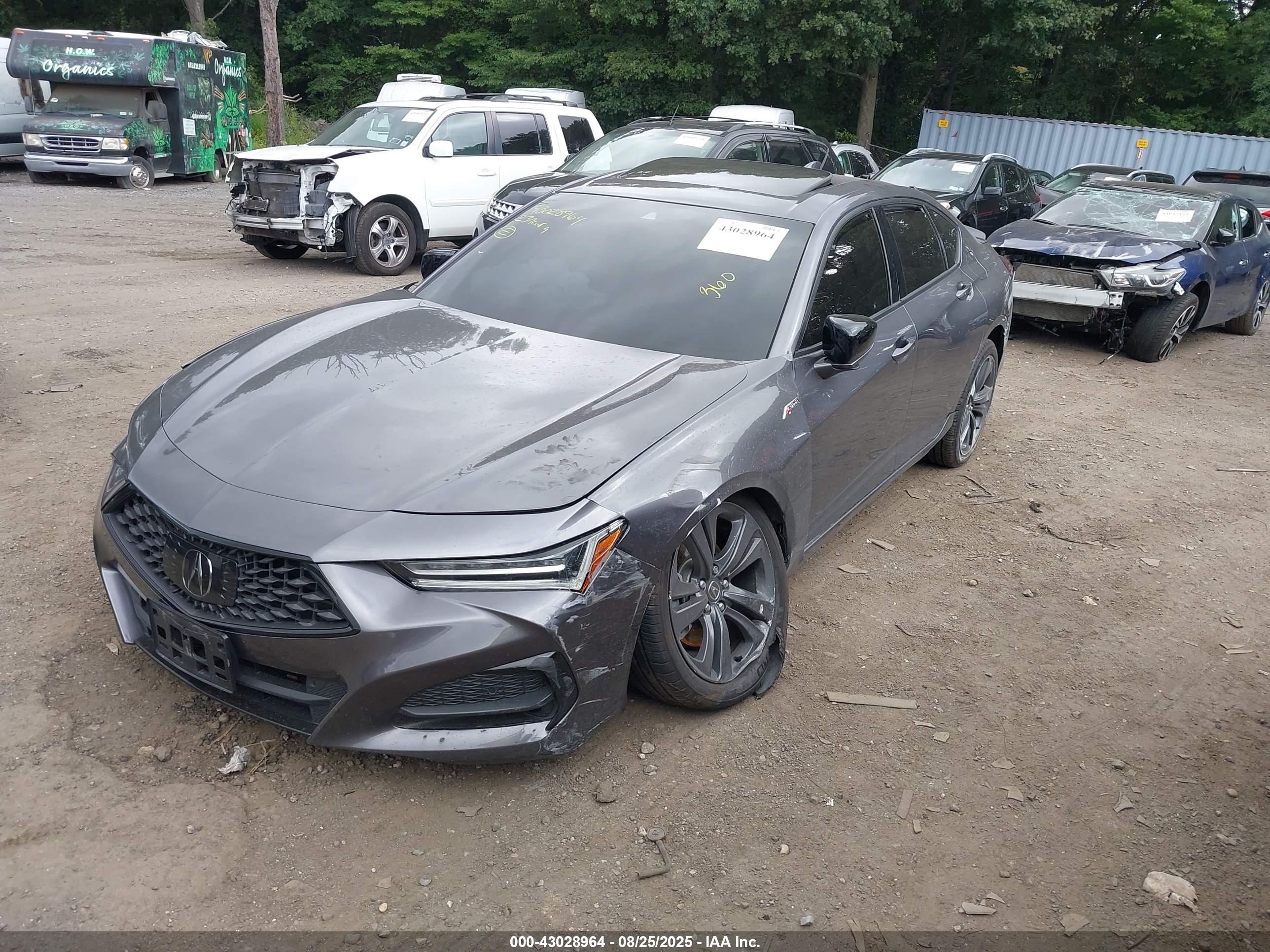 ACURA TLX image 2