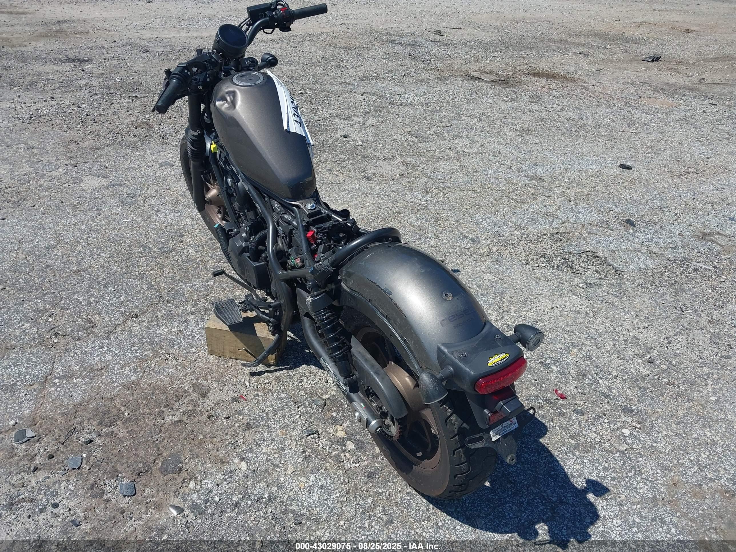 HONDA CMX500 image 3