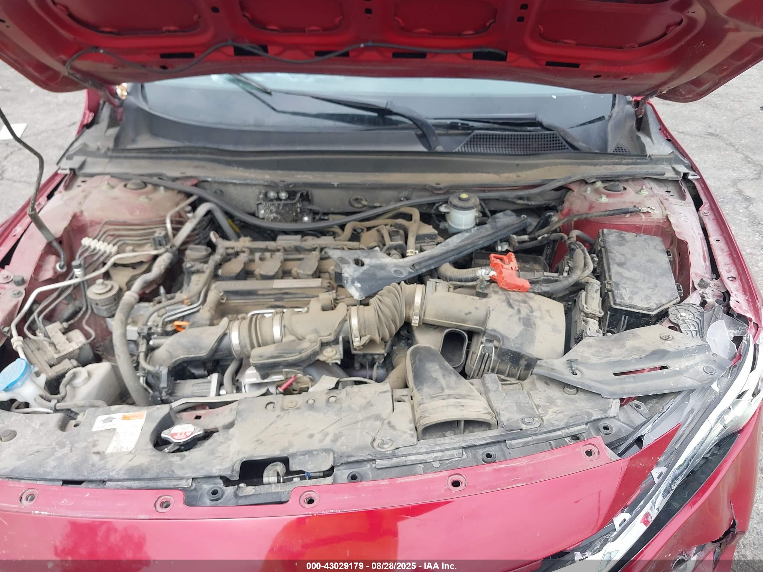 HONDA ACCORD image 10