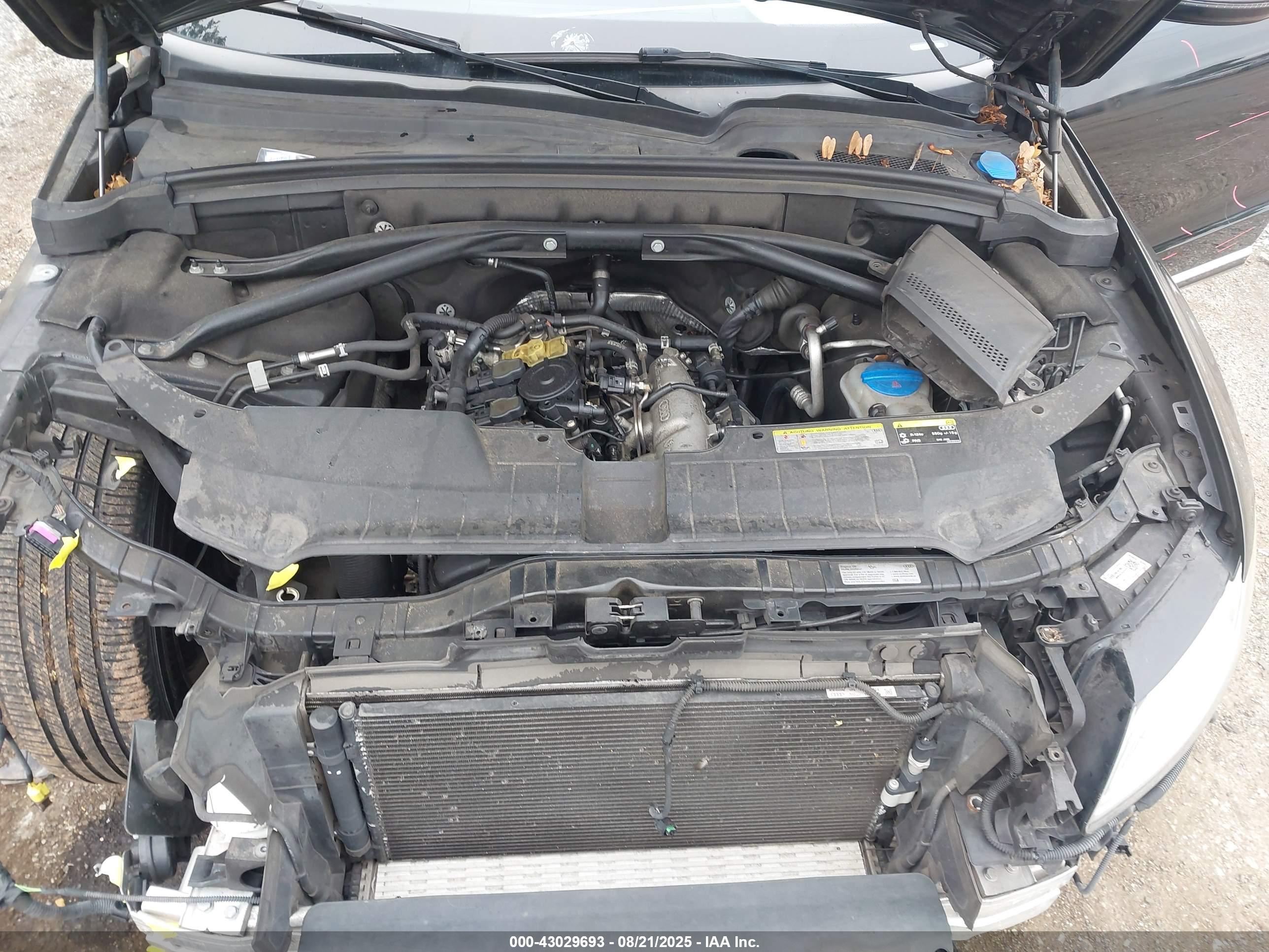 AUDI Q5 image 10