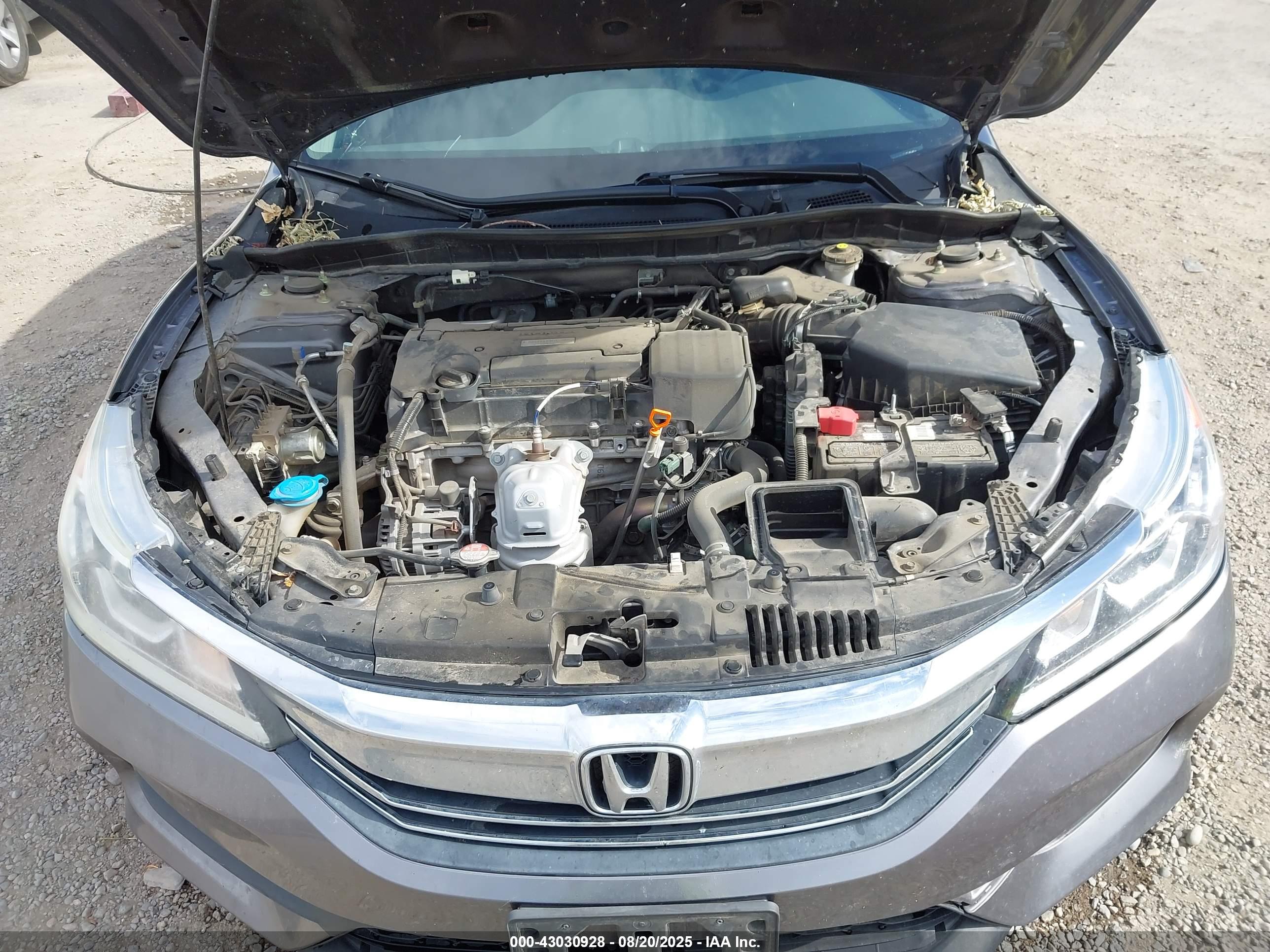 HONDA ACCORD image 10