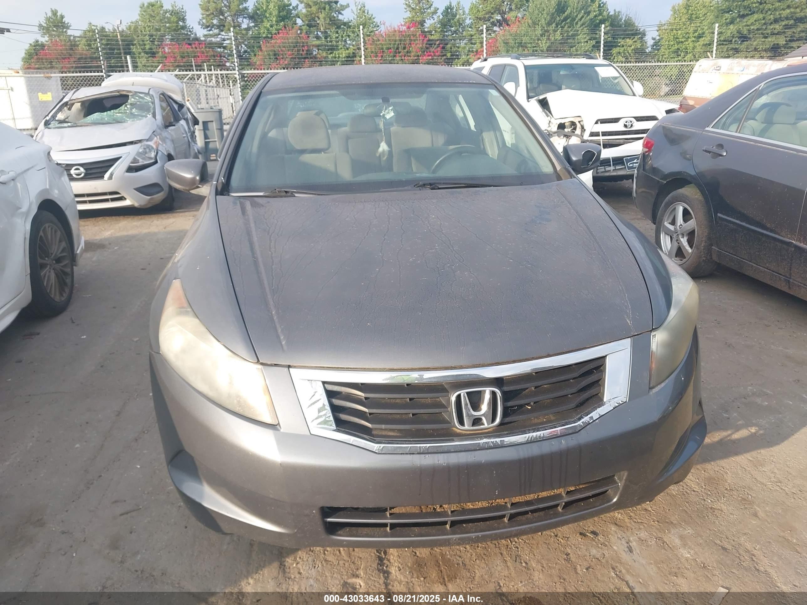HONDA ACCORD image 6