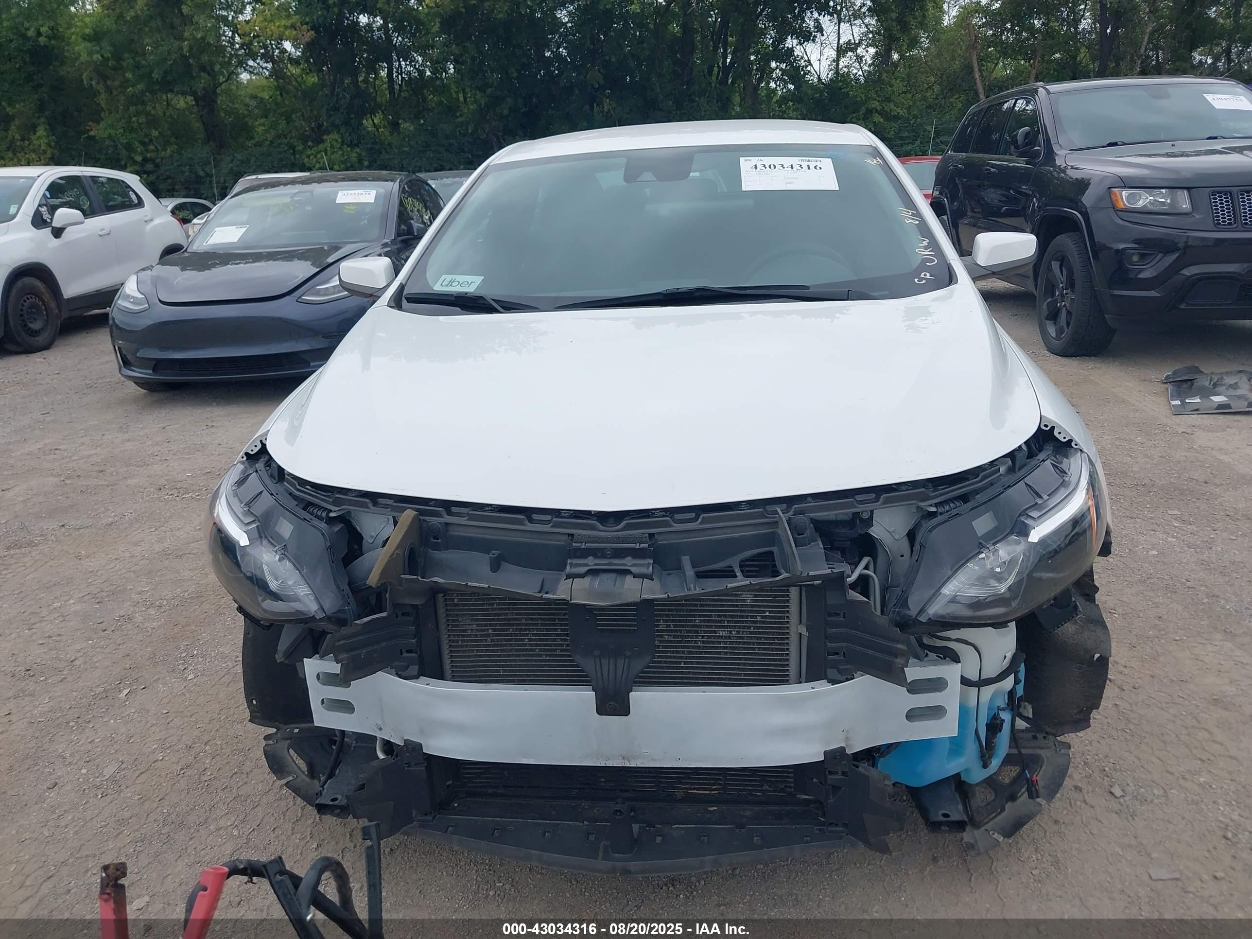CHEVROLET MALIBU image 6