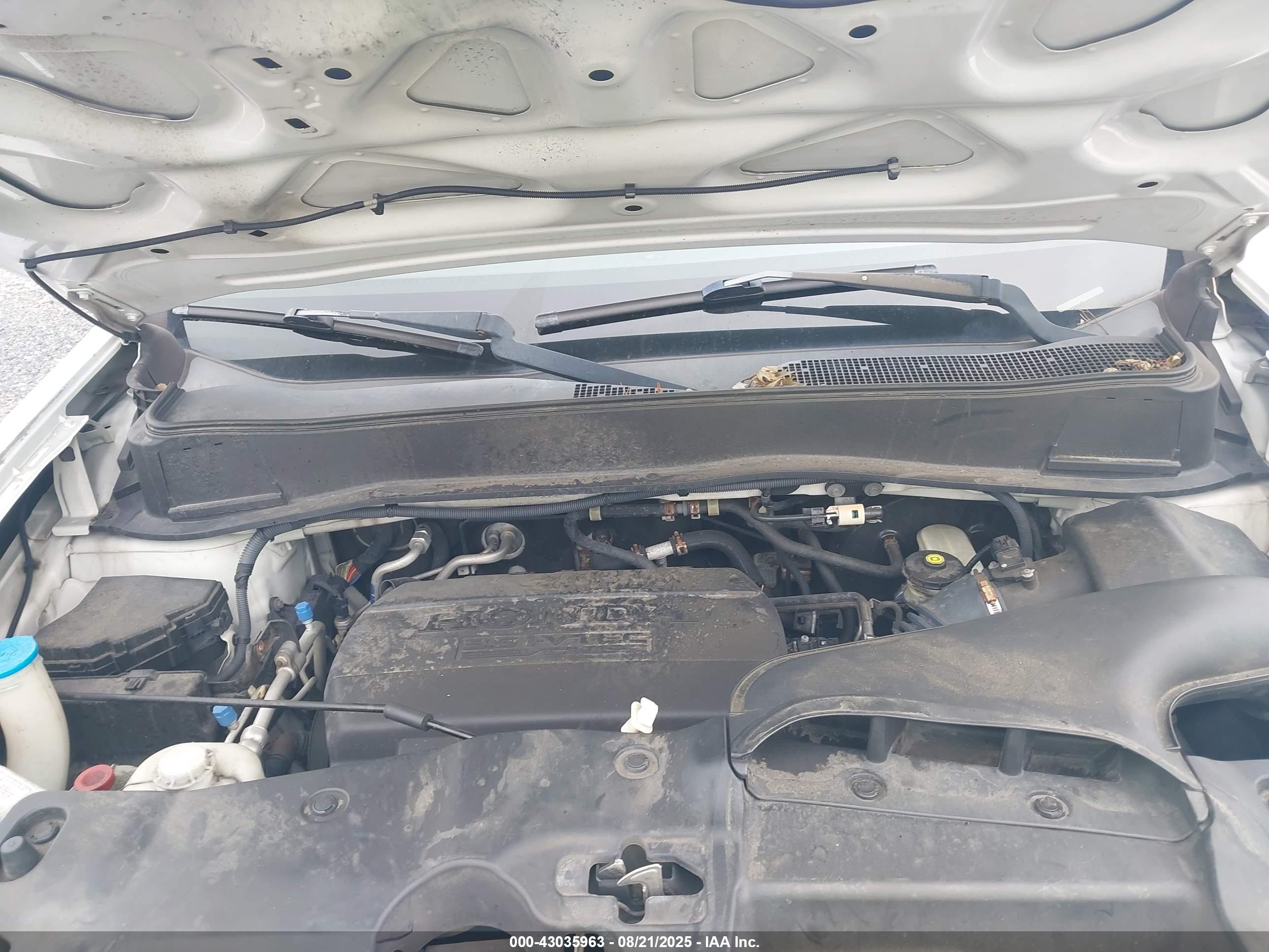 HONDA PILOT image 10
