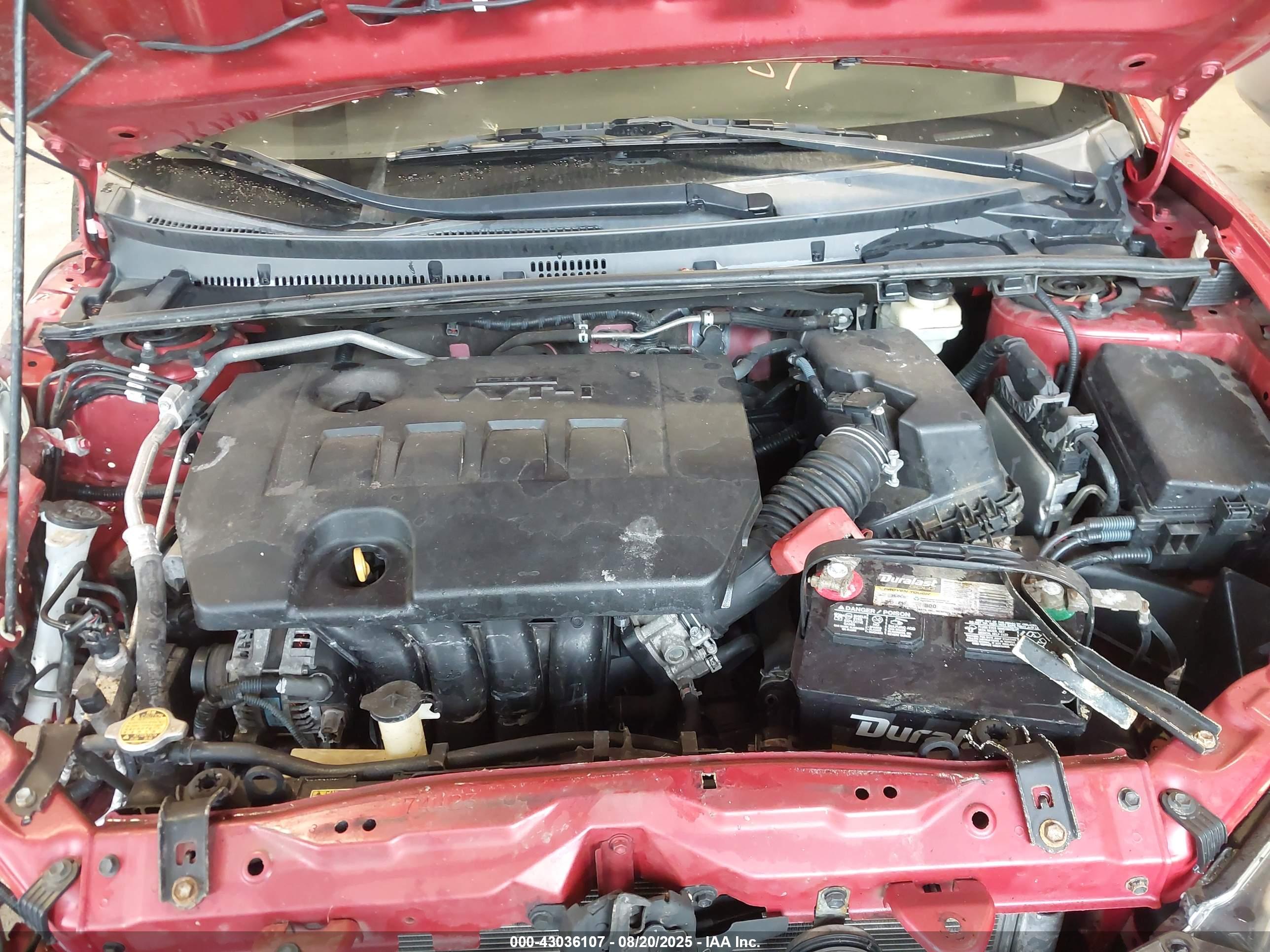 TOYOTA COROLLA image 10