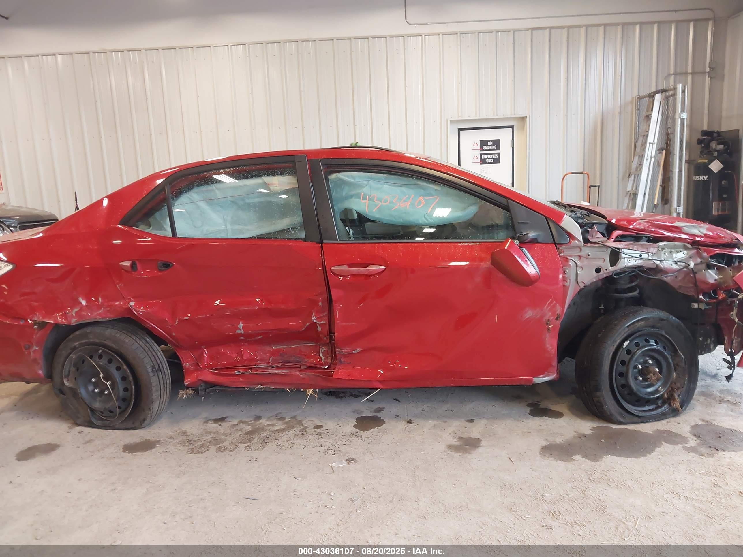 TOYOTA COROLLA image 6