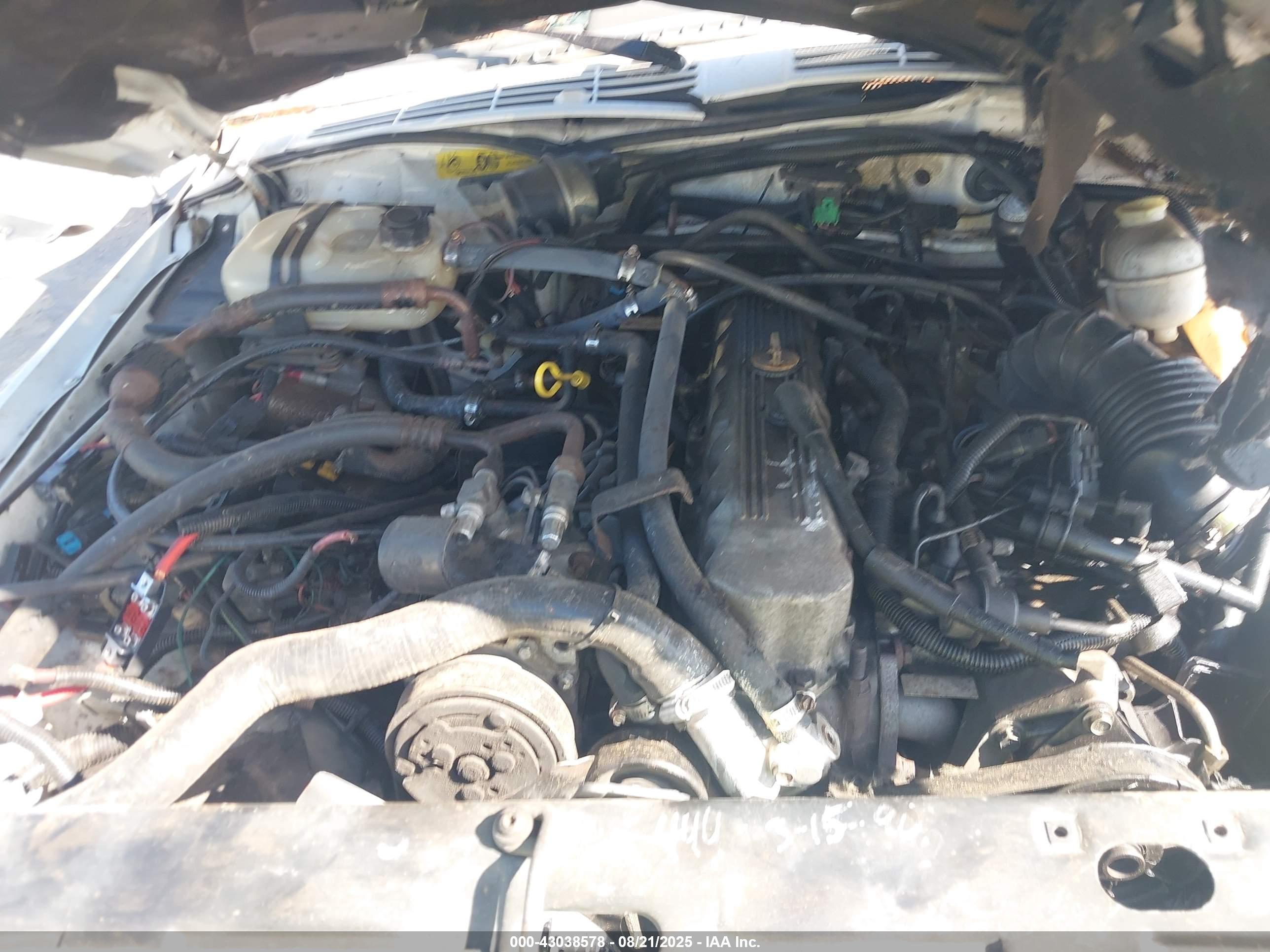 JEEP CHEROKEE image 10