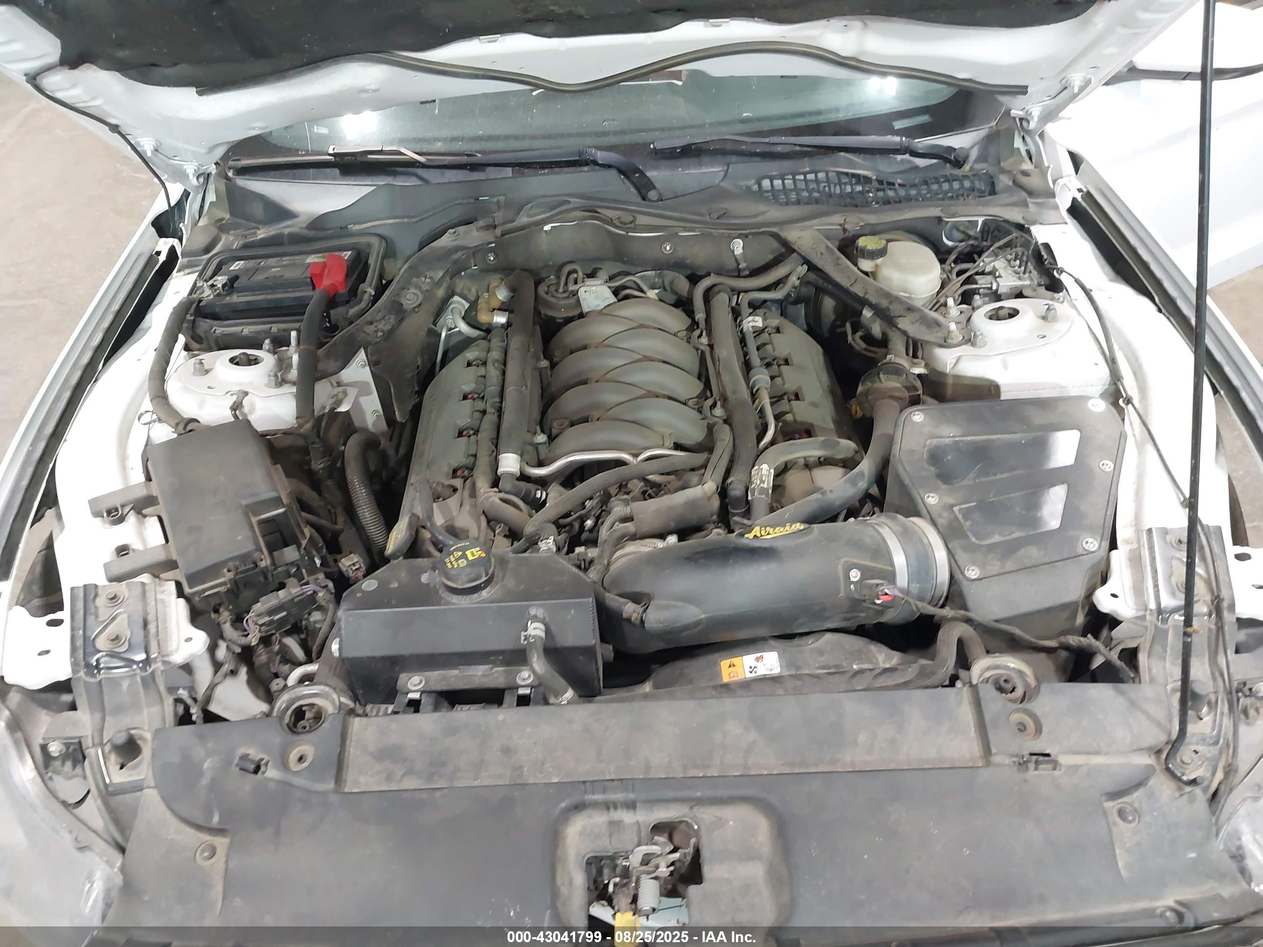 FORD MUSTANG image 10