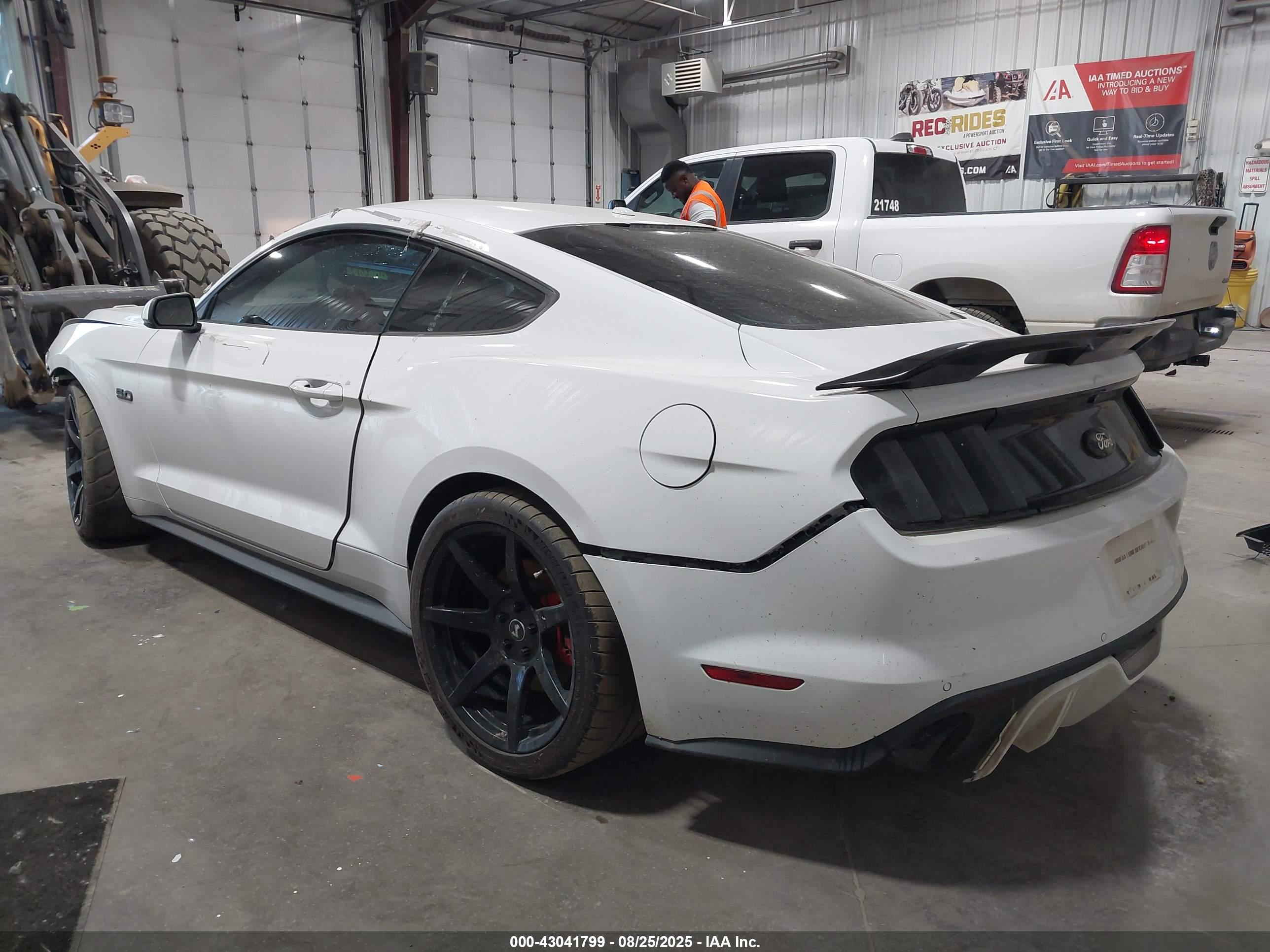 FORD MUSTANG image 3