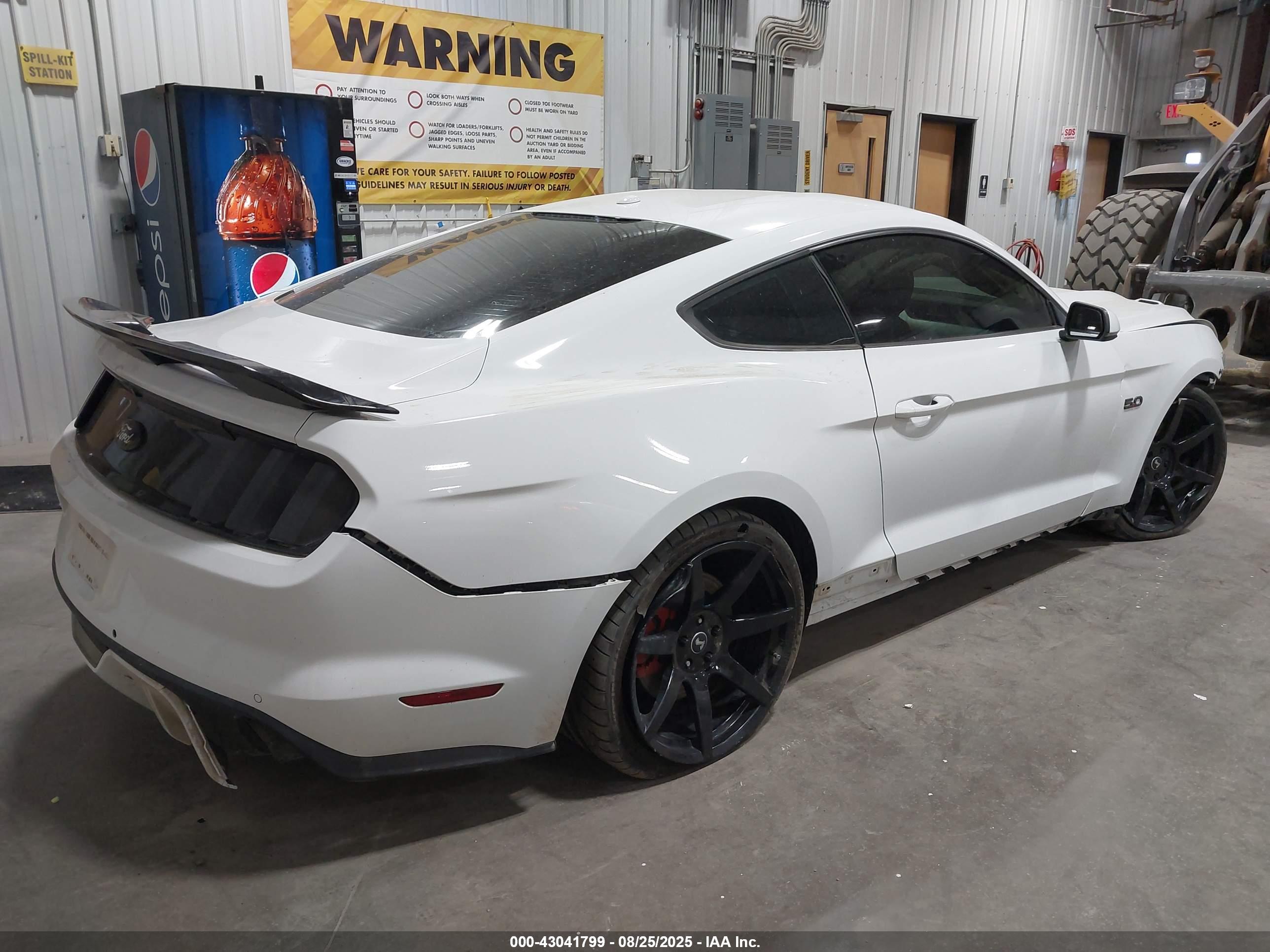 FORD MUSTANG image 4