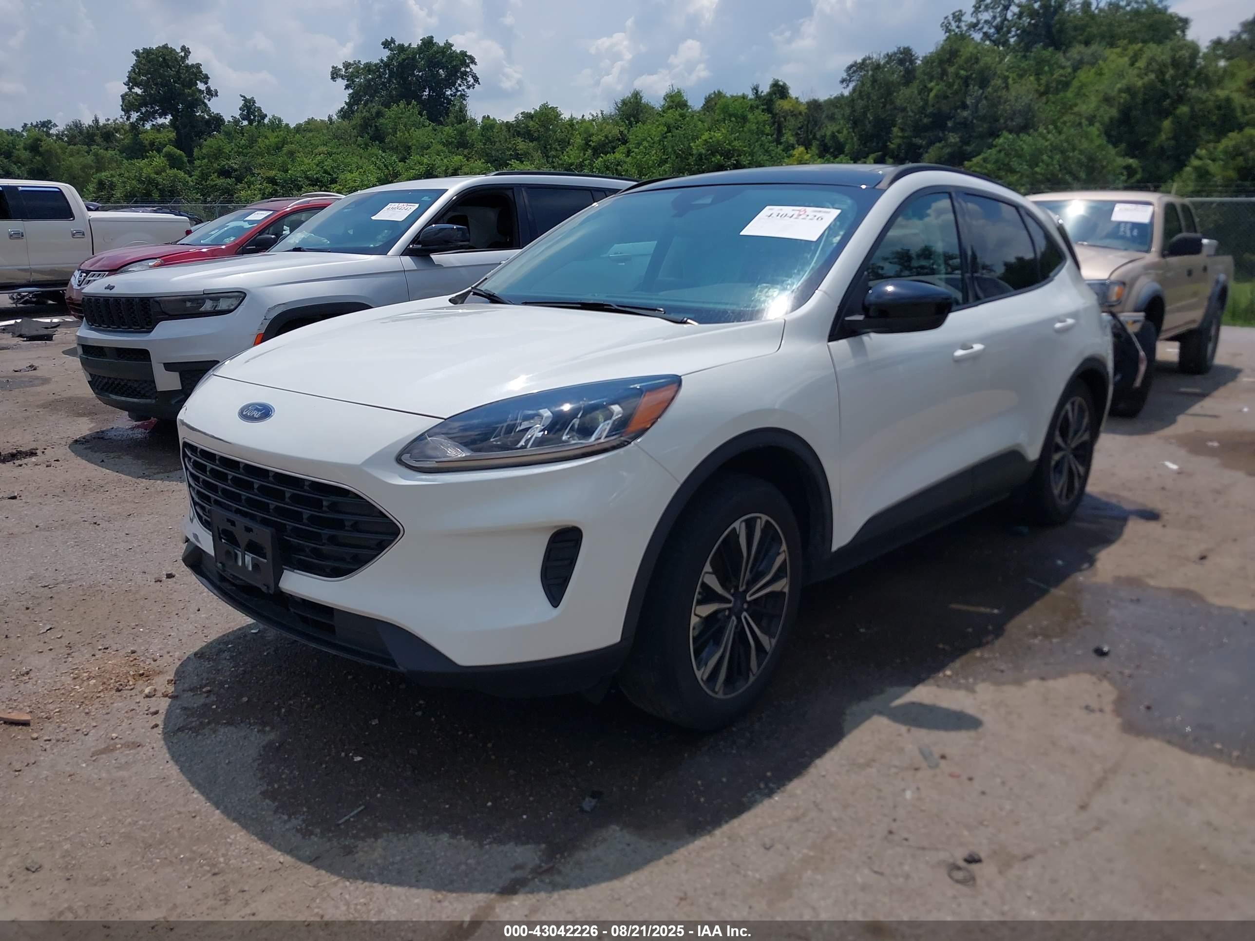 FORD ESCAPE image 2