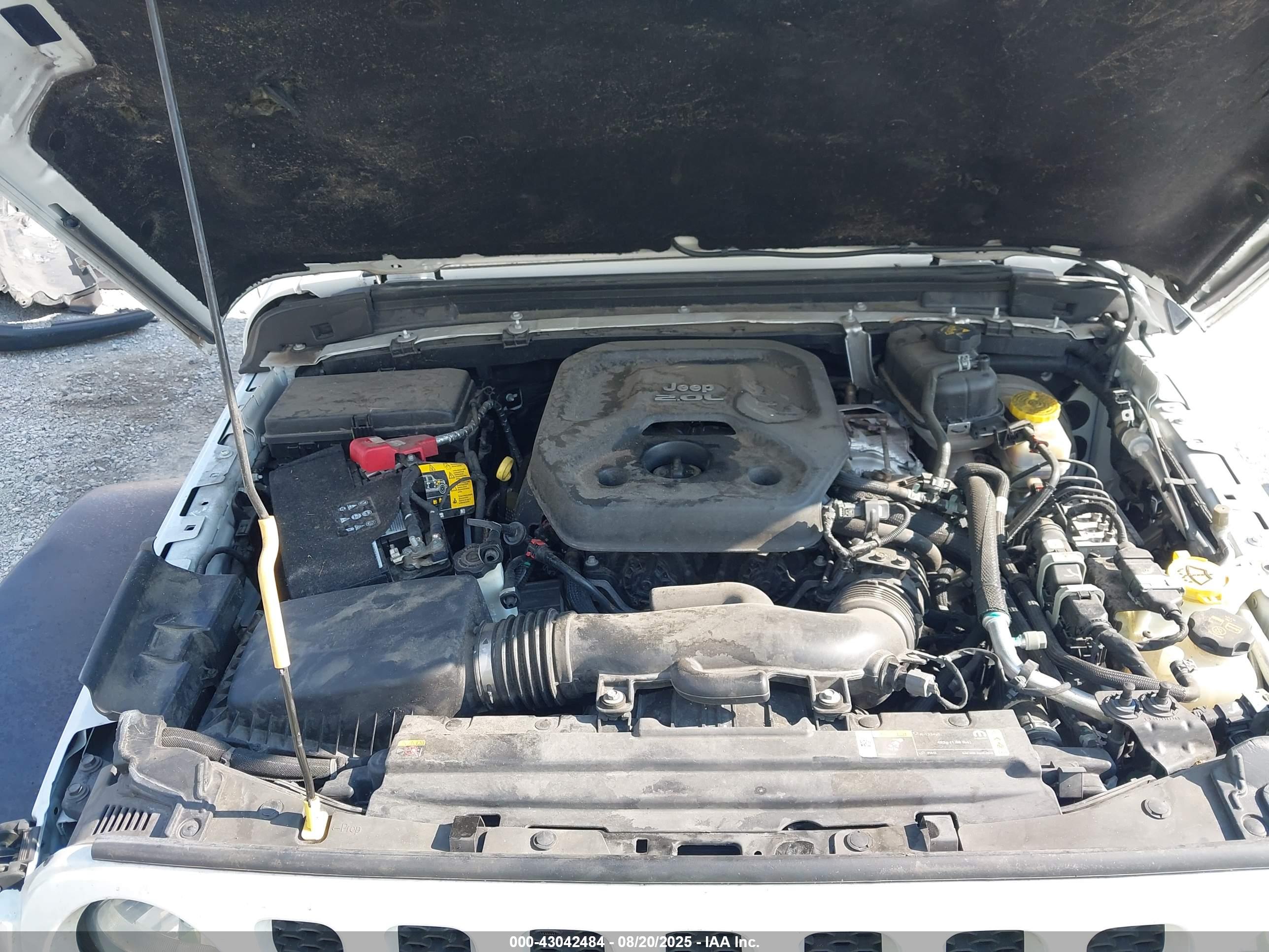 JEEP WRANGLER image 10