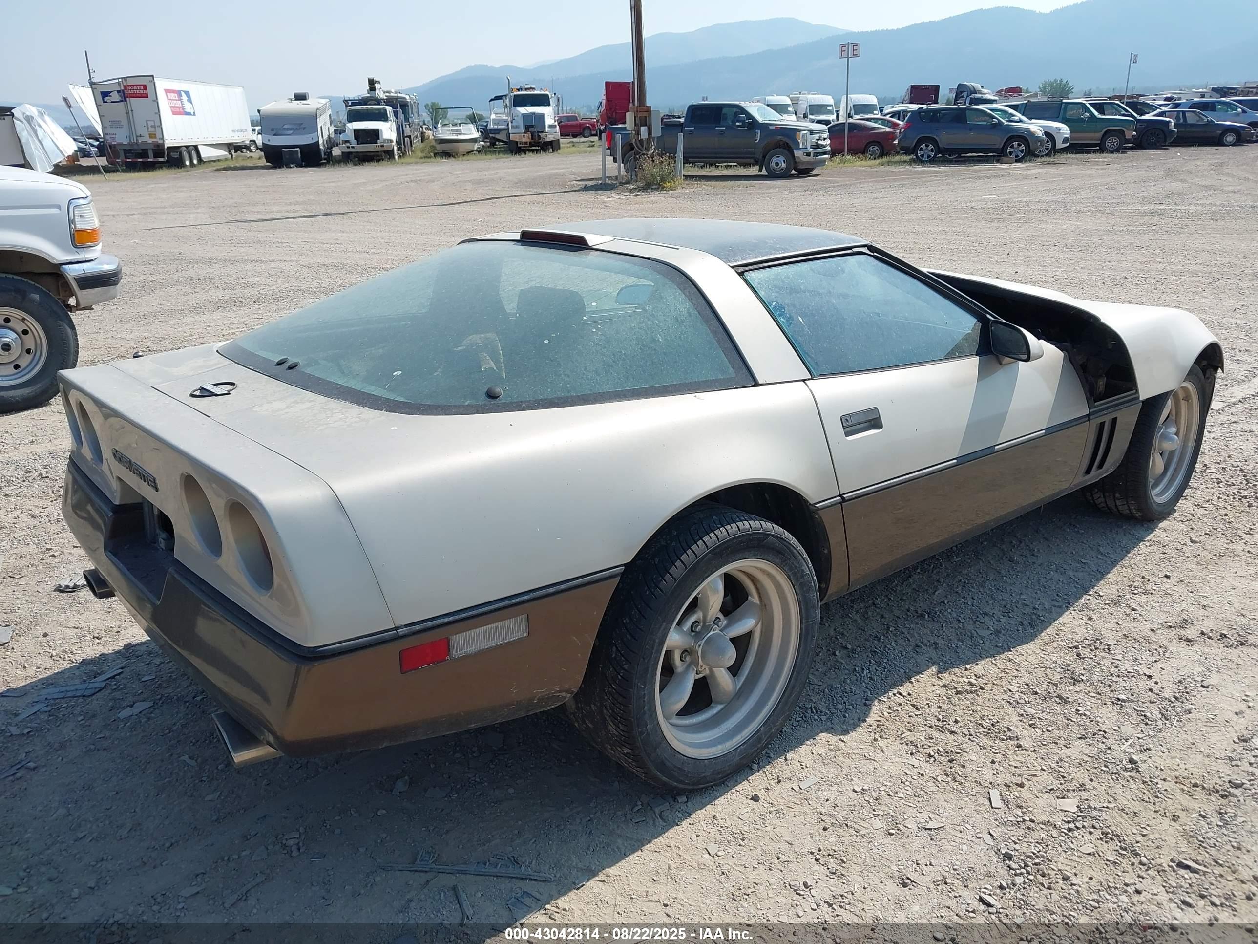 CHEVROLET CORVETTE image 4