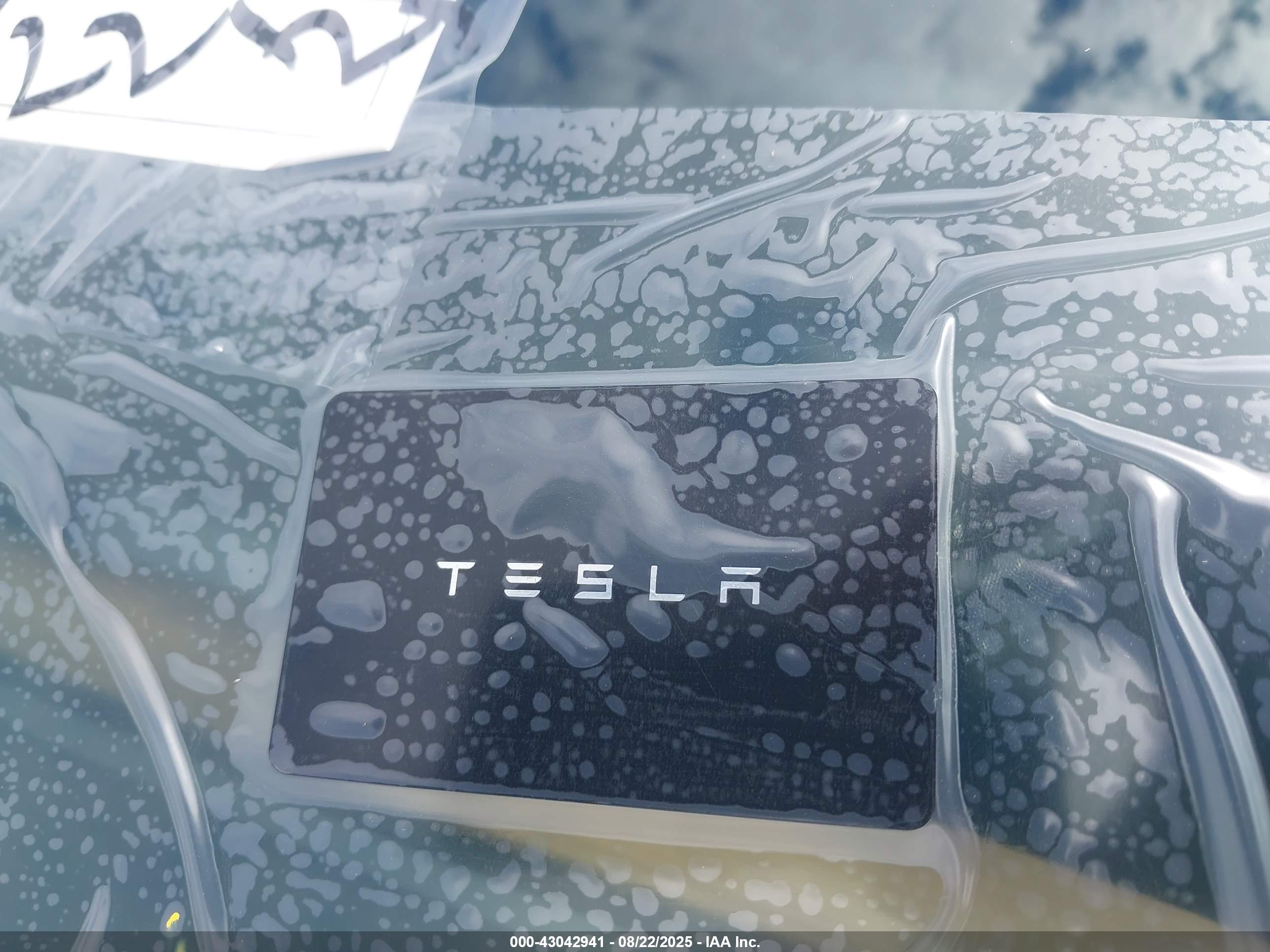 TESLA MODEL image 11
