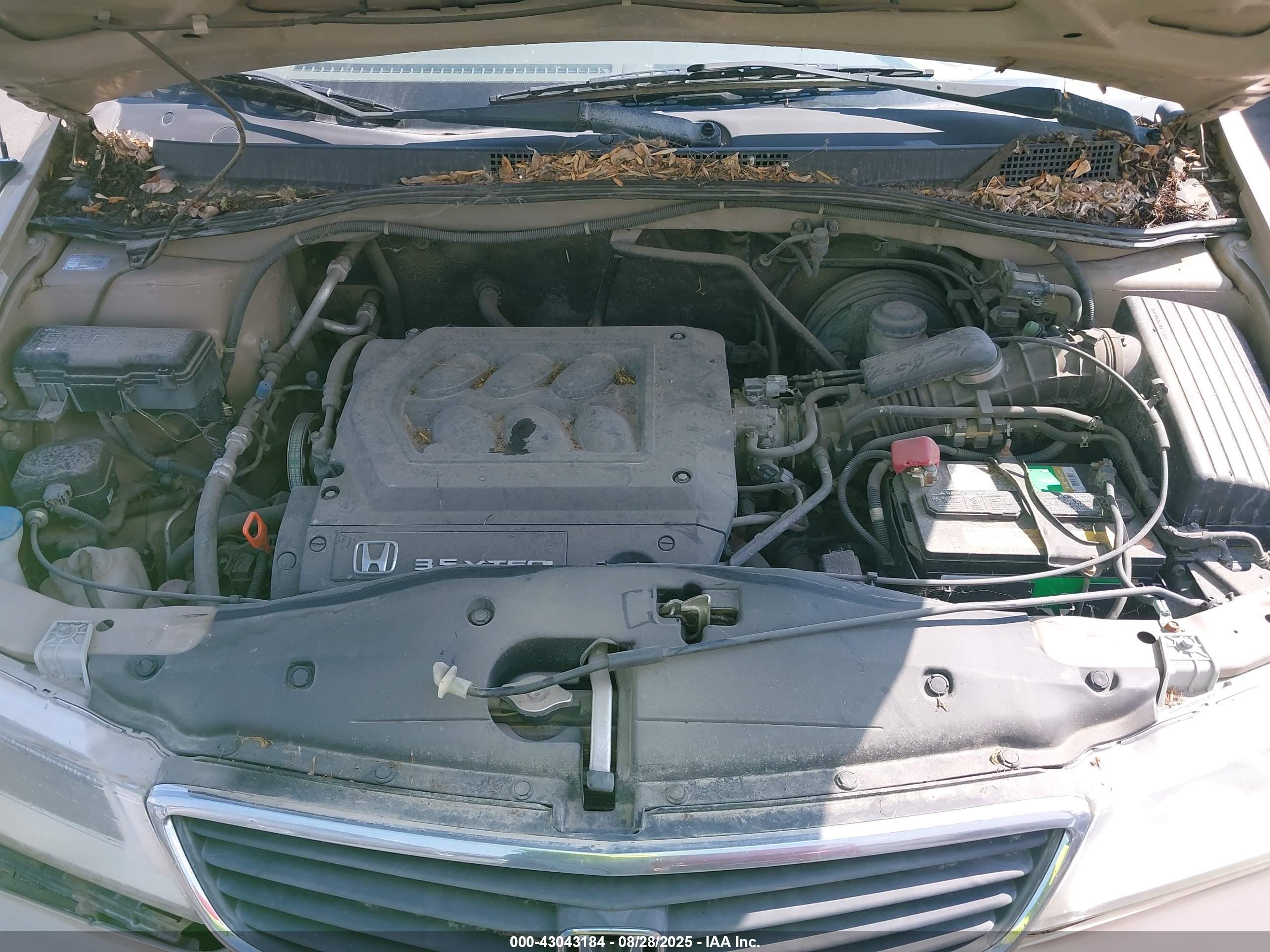 HONDA ODYSSEY image 10