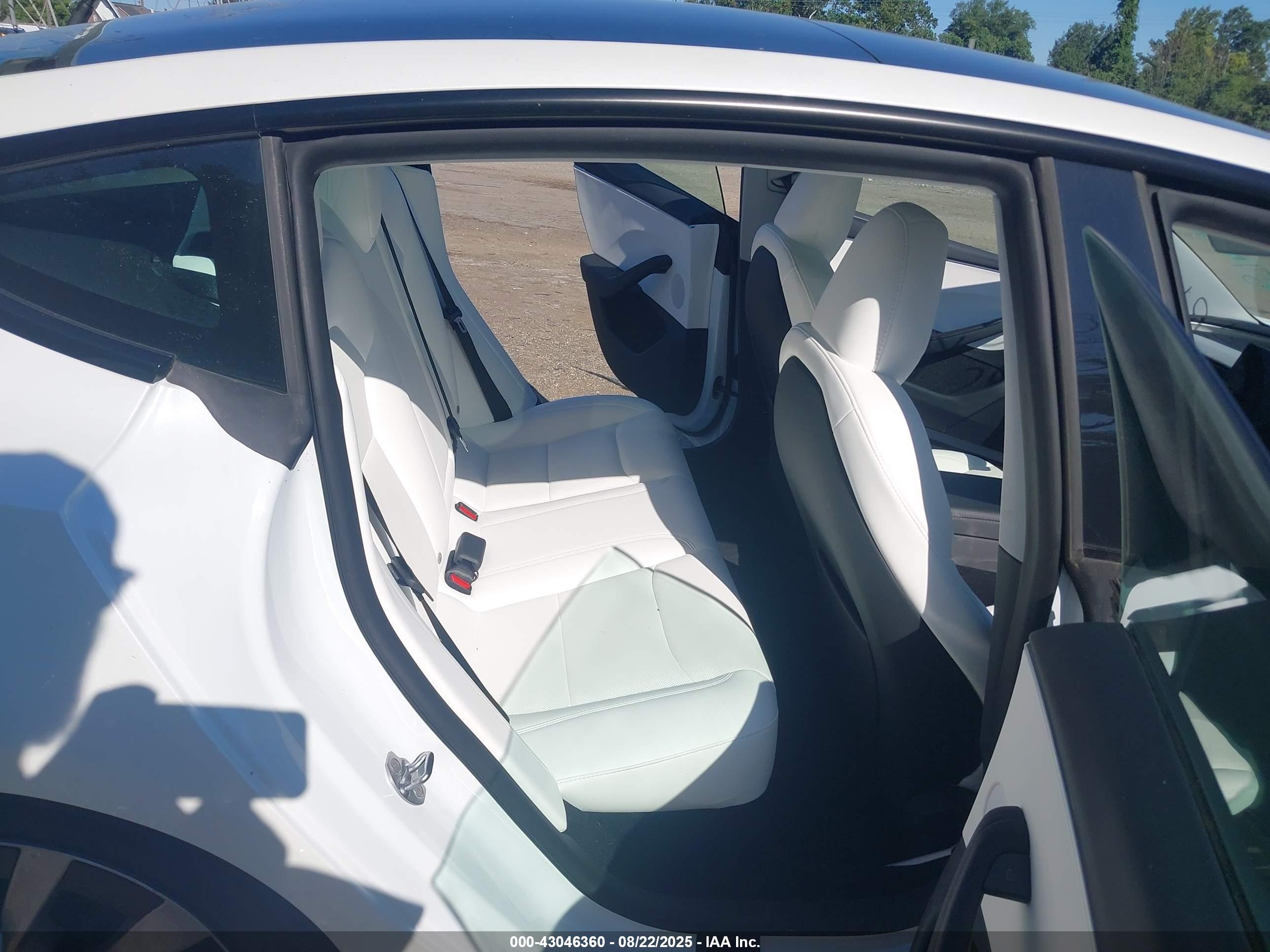 TESLA MODEL image 8