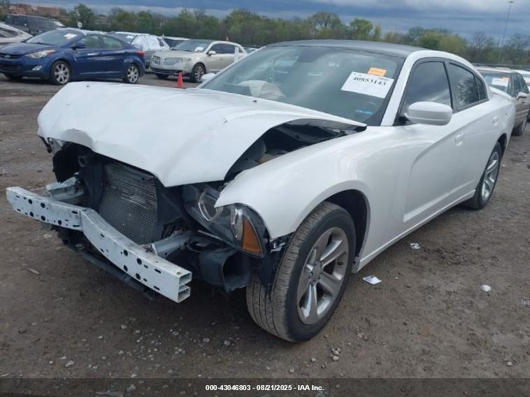 DODGE CHARGER image 2