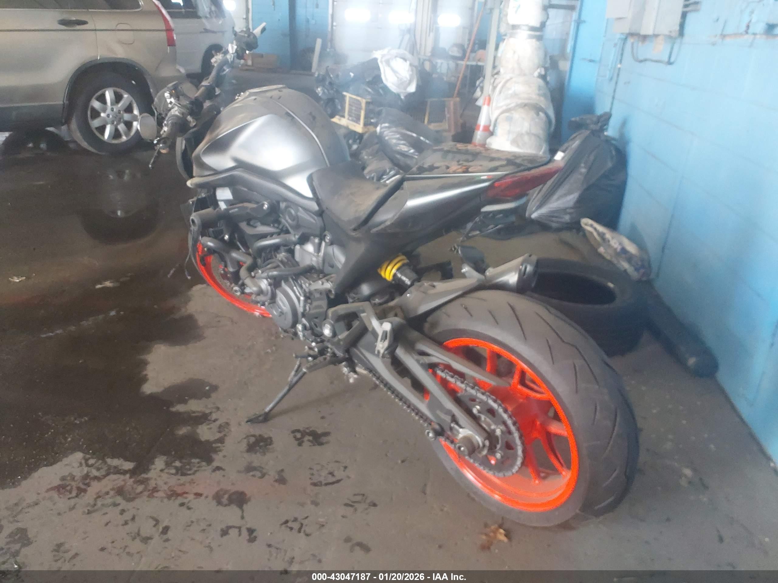 DUCATI MONSTER image 3