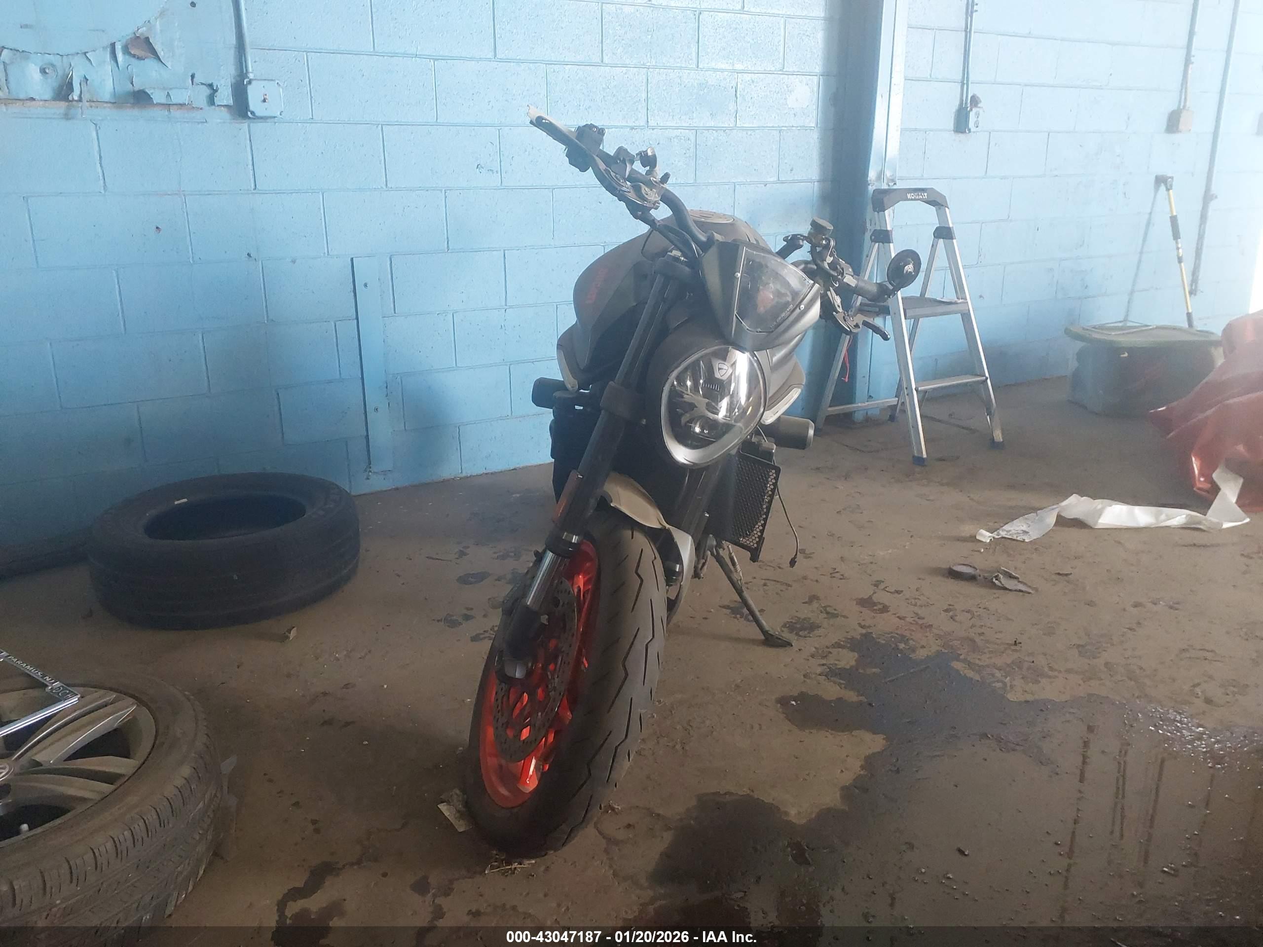 DUCATI MONSTER image 5