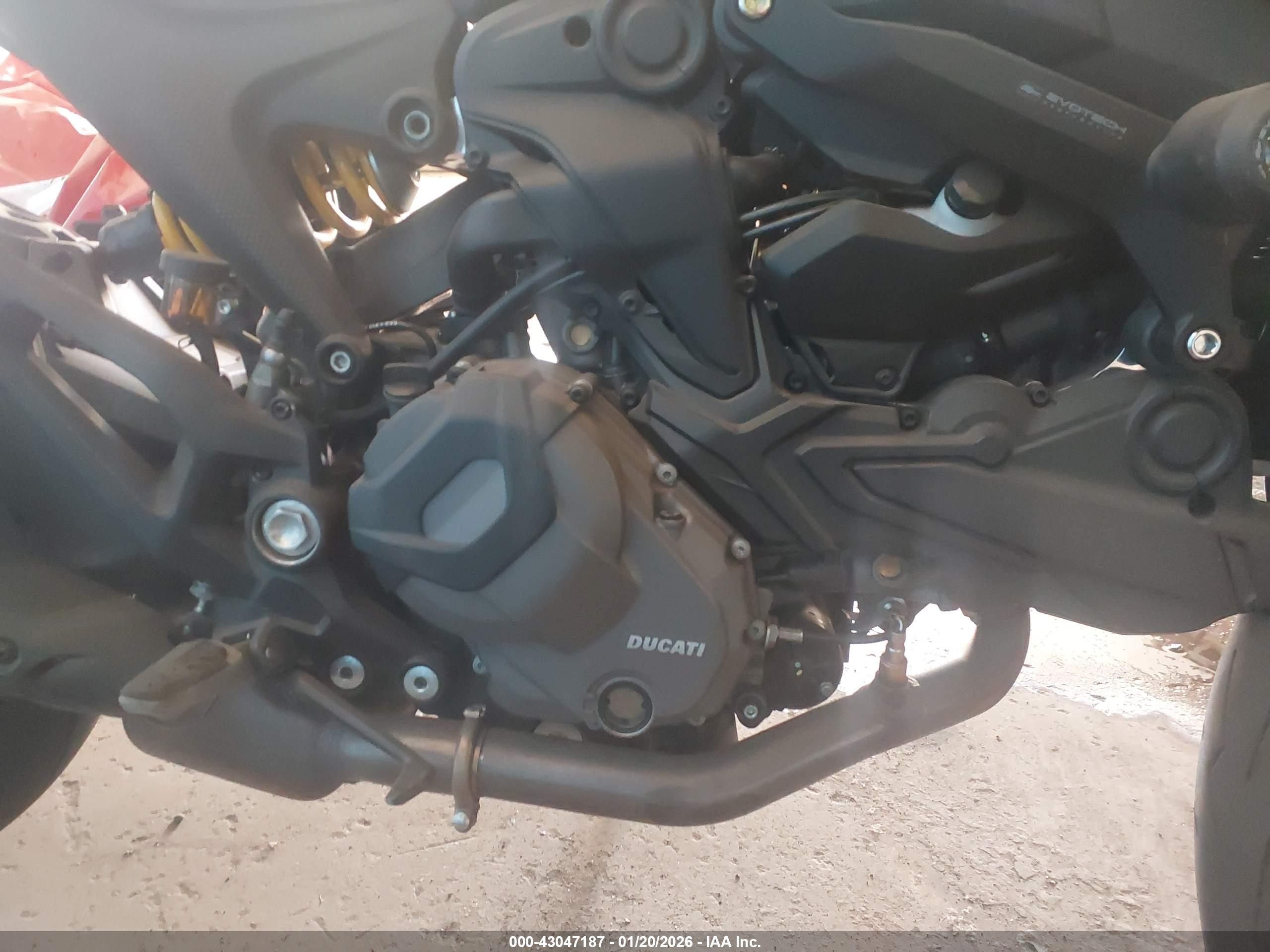 DUCATI MONSTER image 8
