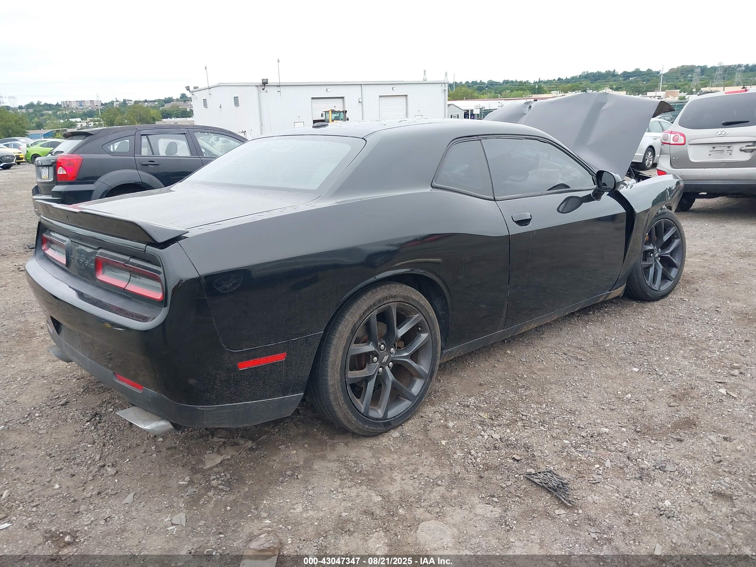 DODGE CHALLENGER image 4
