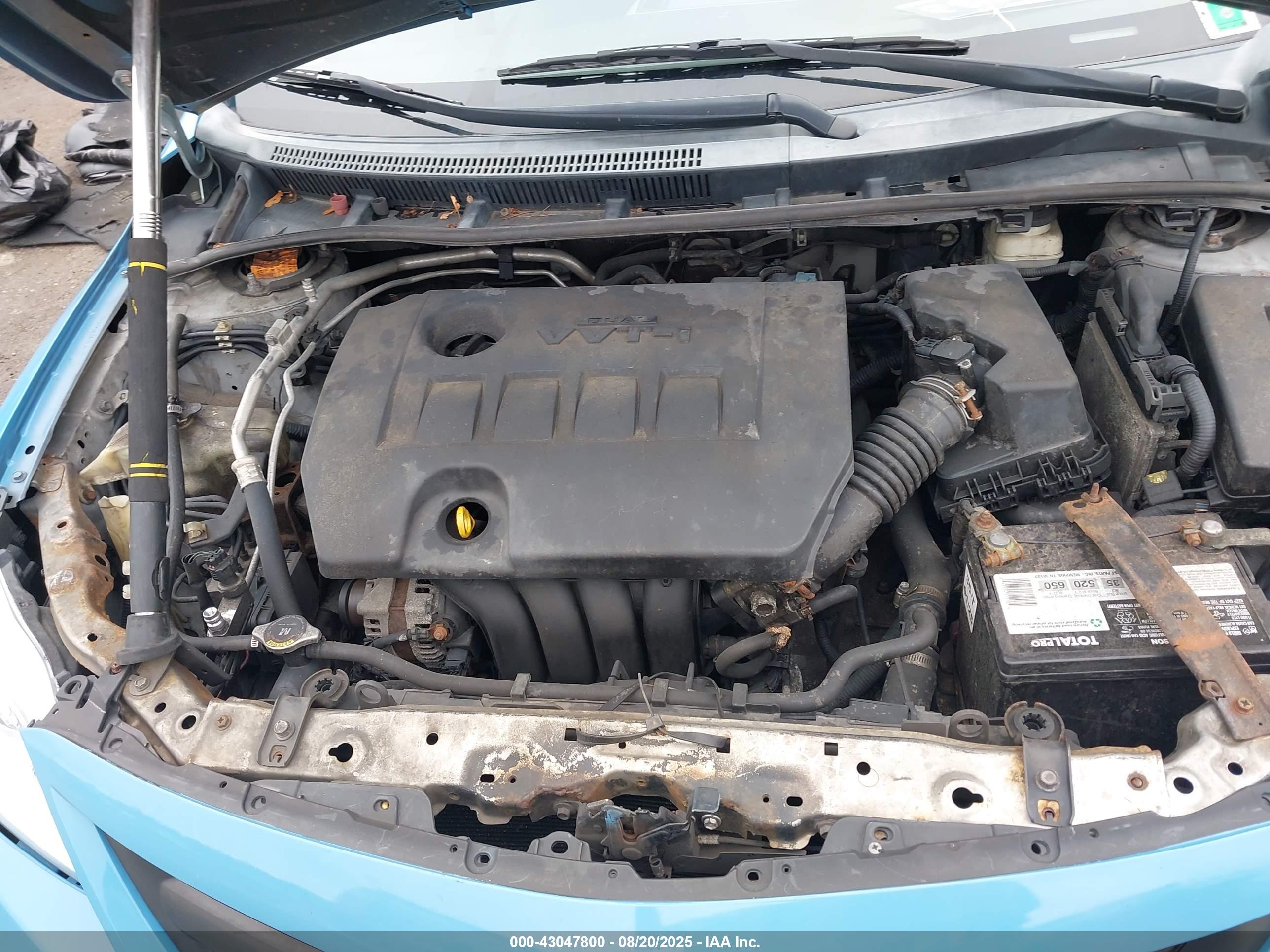 TOYOTA COROLLA image 10