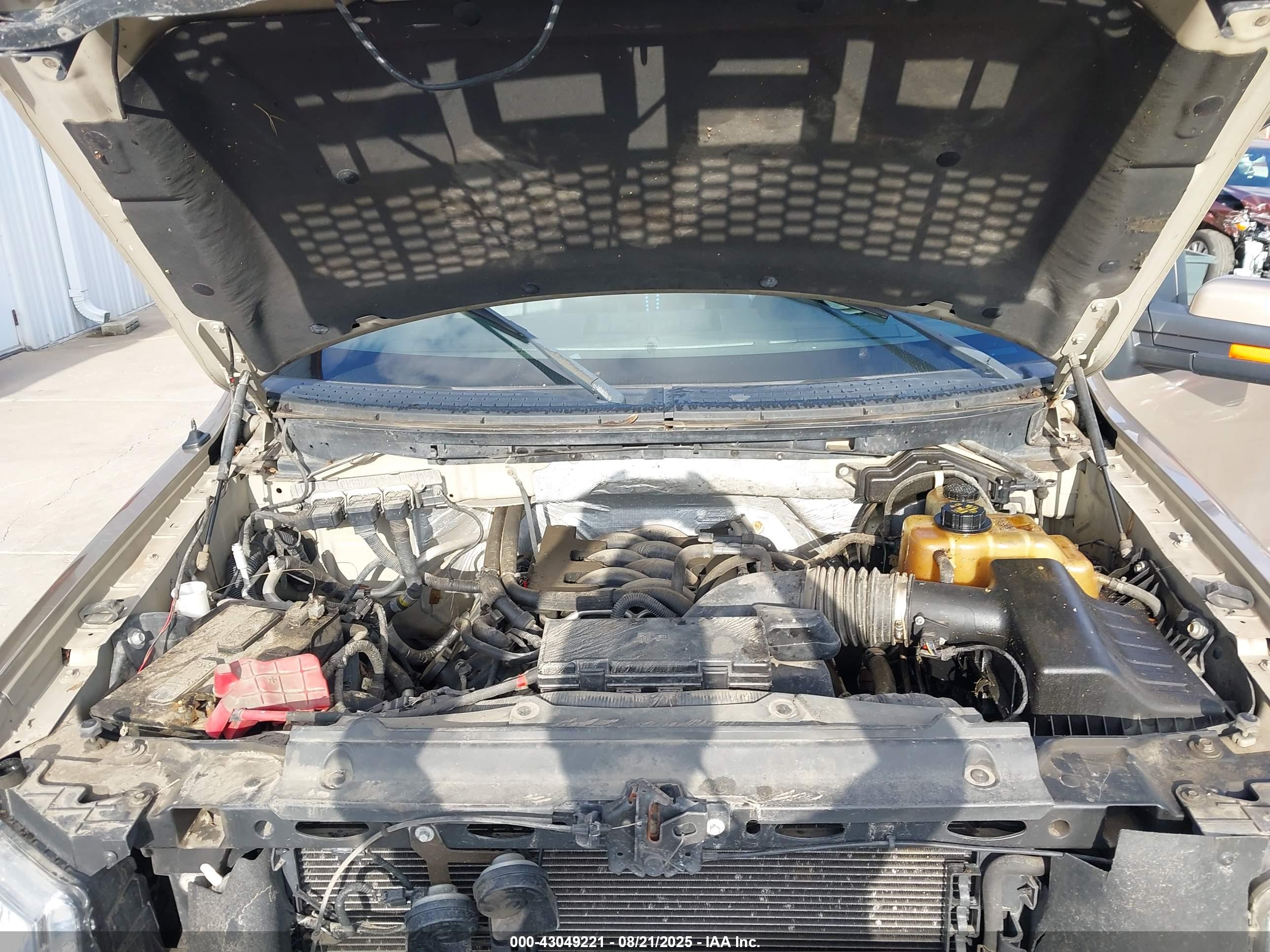 FORD F-150 image 10