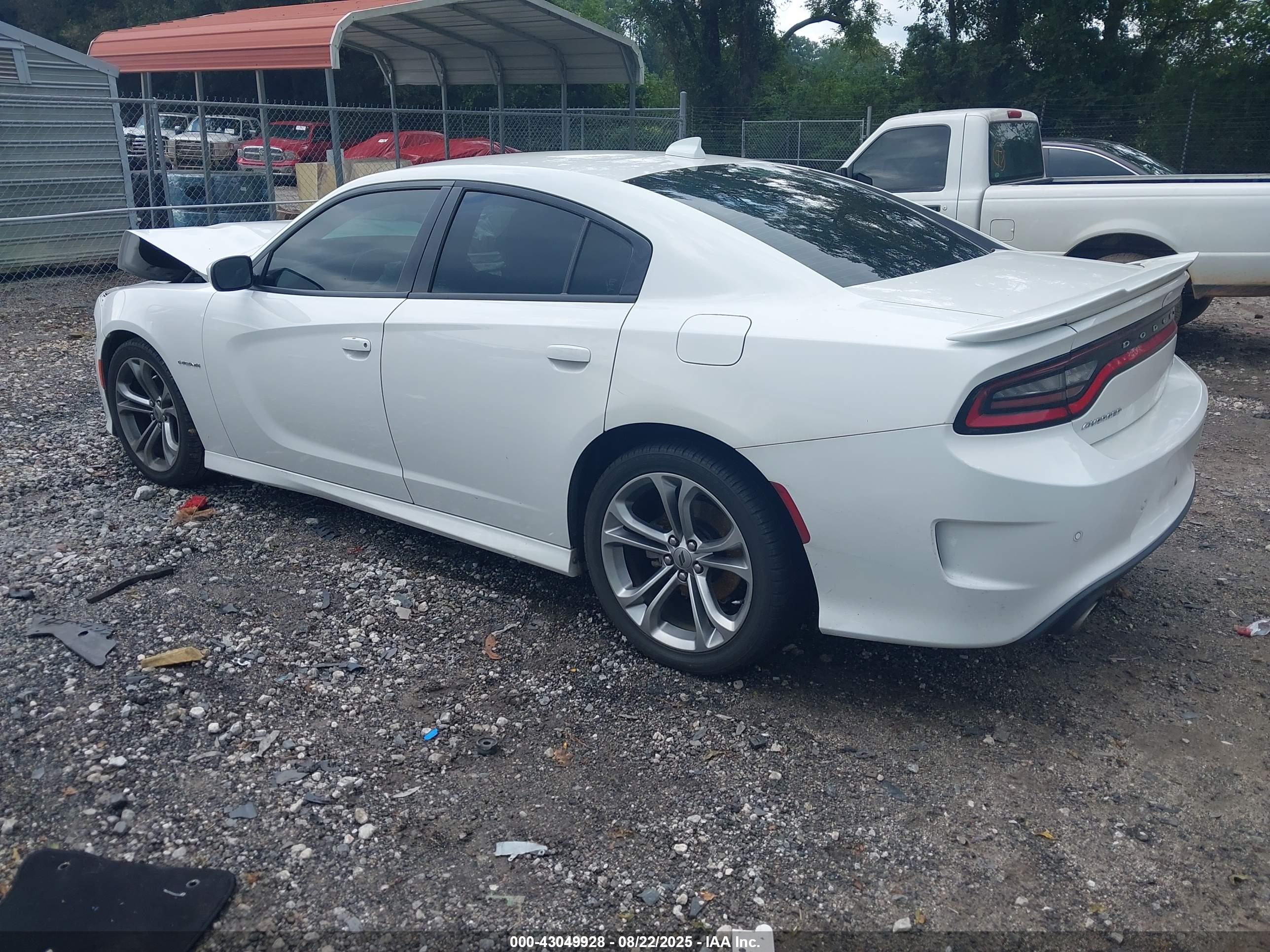 DODGE CHARGER image 3