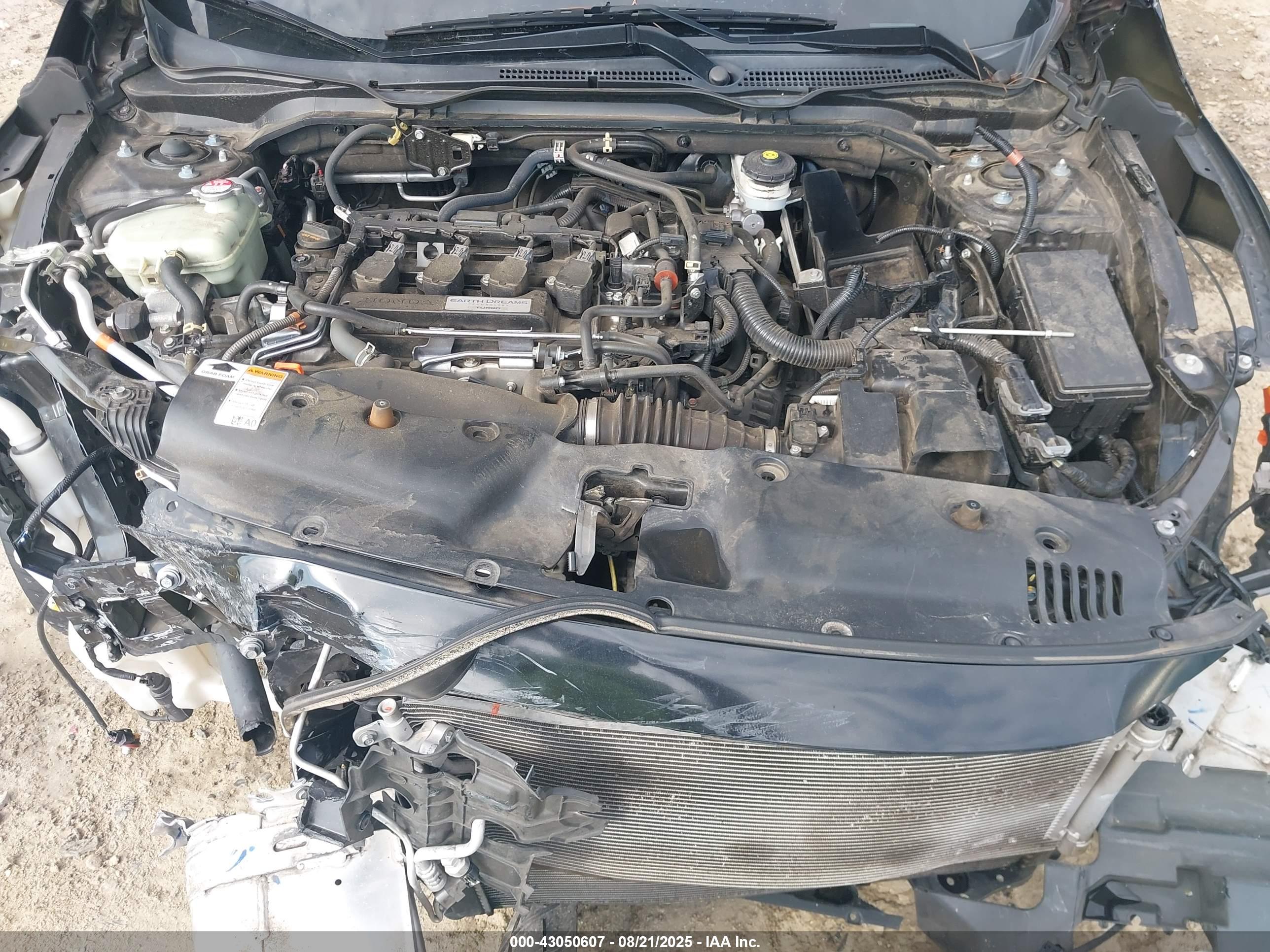 HONDA CIVIC image 10