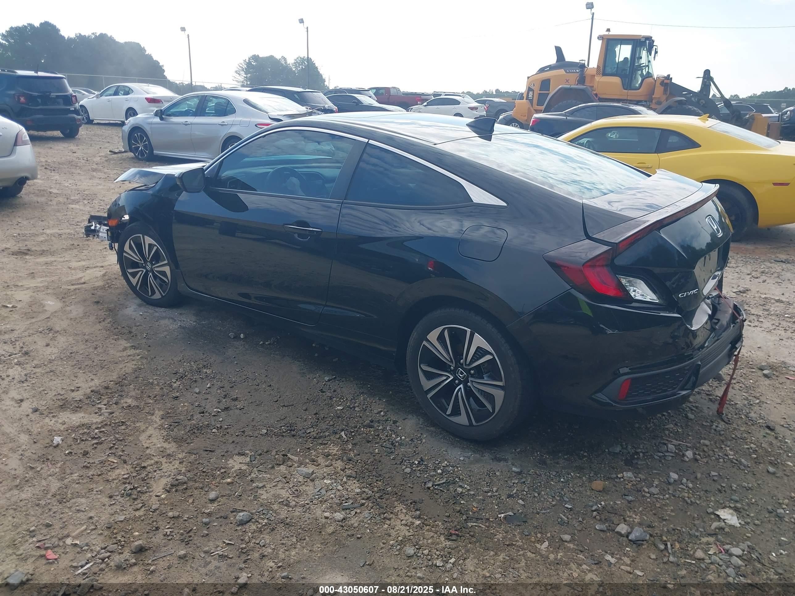 HONDA CIVIC image 3
