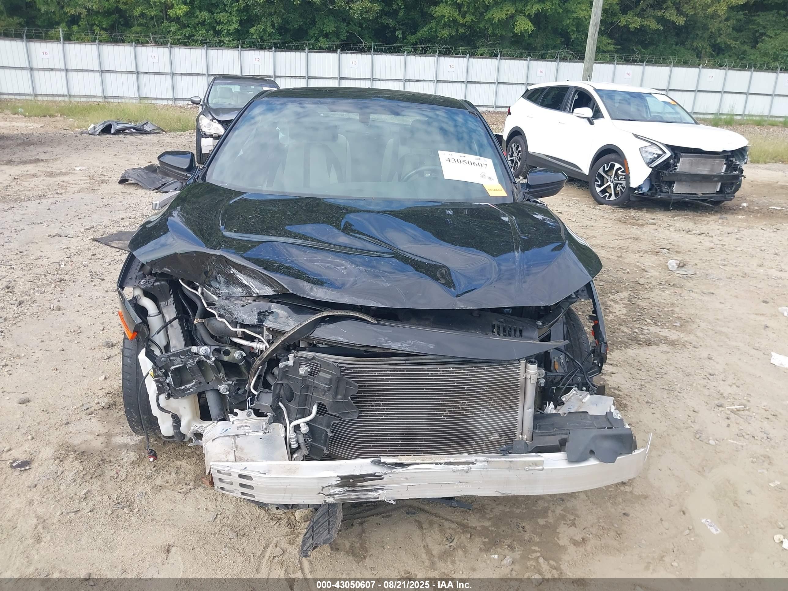 HONDA CIVIC image 6