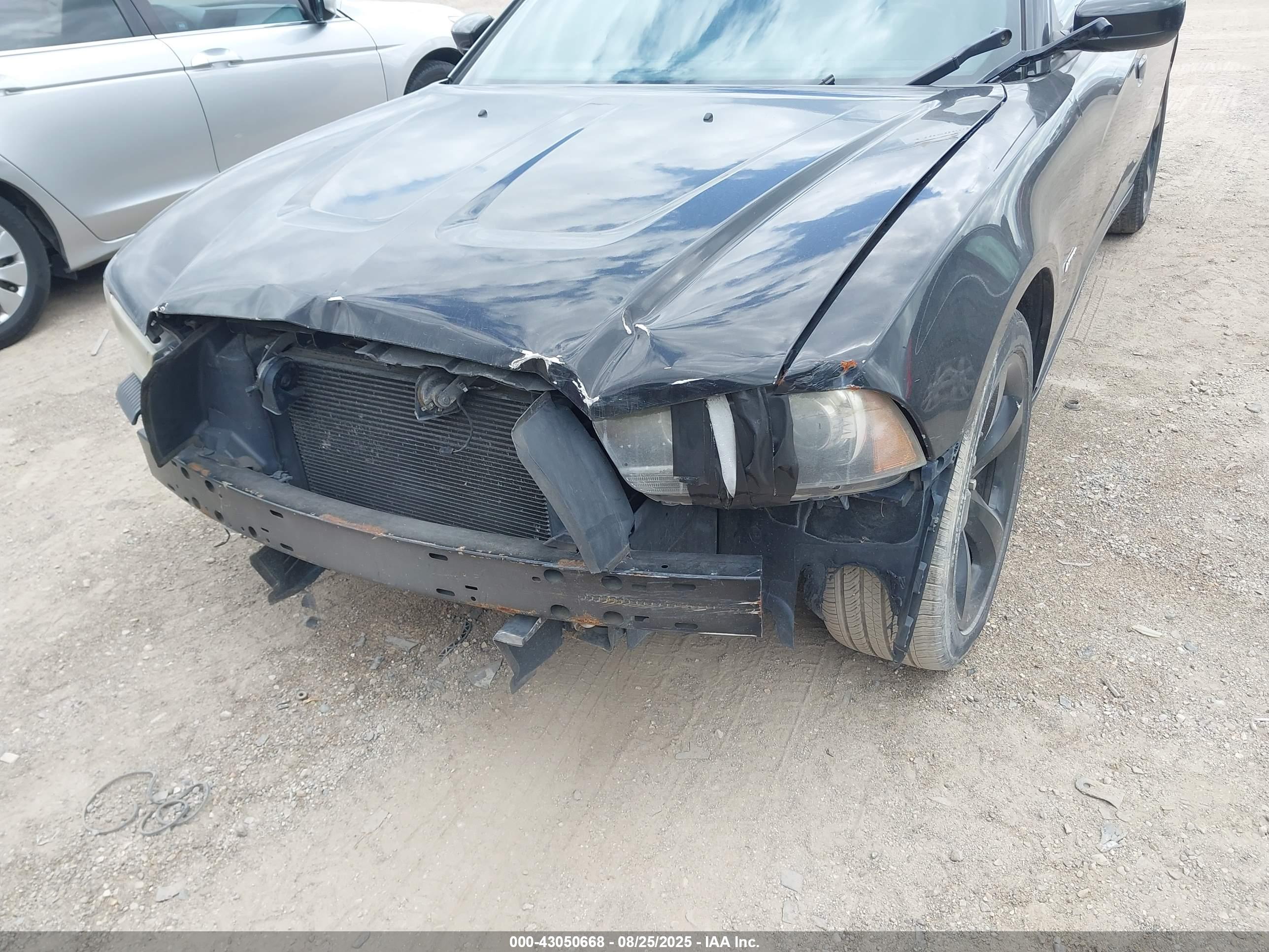 DODGE CHARGER image 6