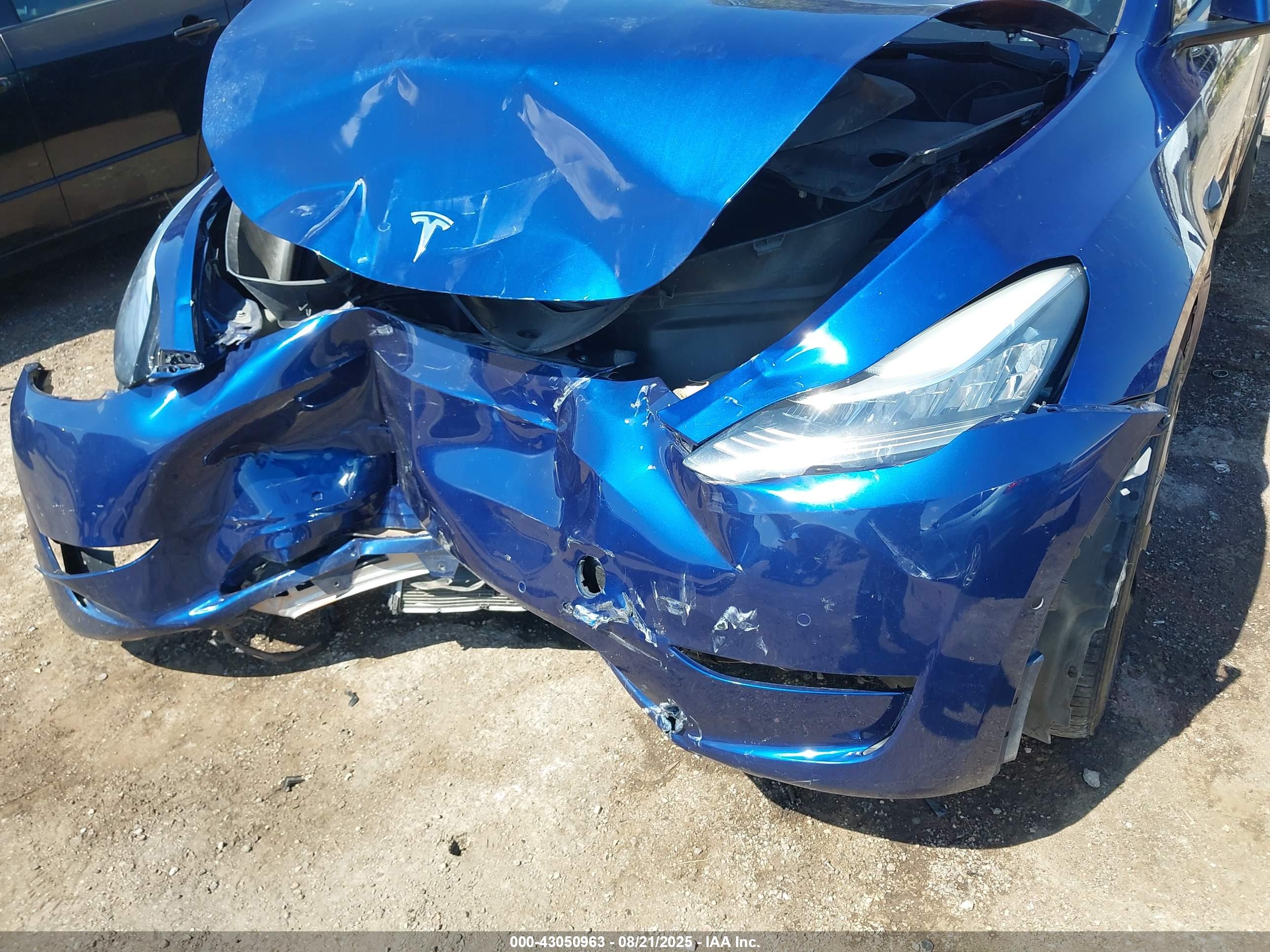 TESLA MODEL image 6