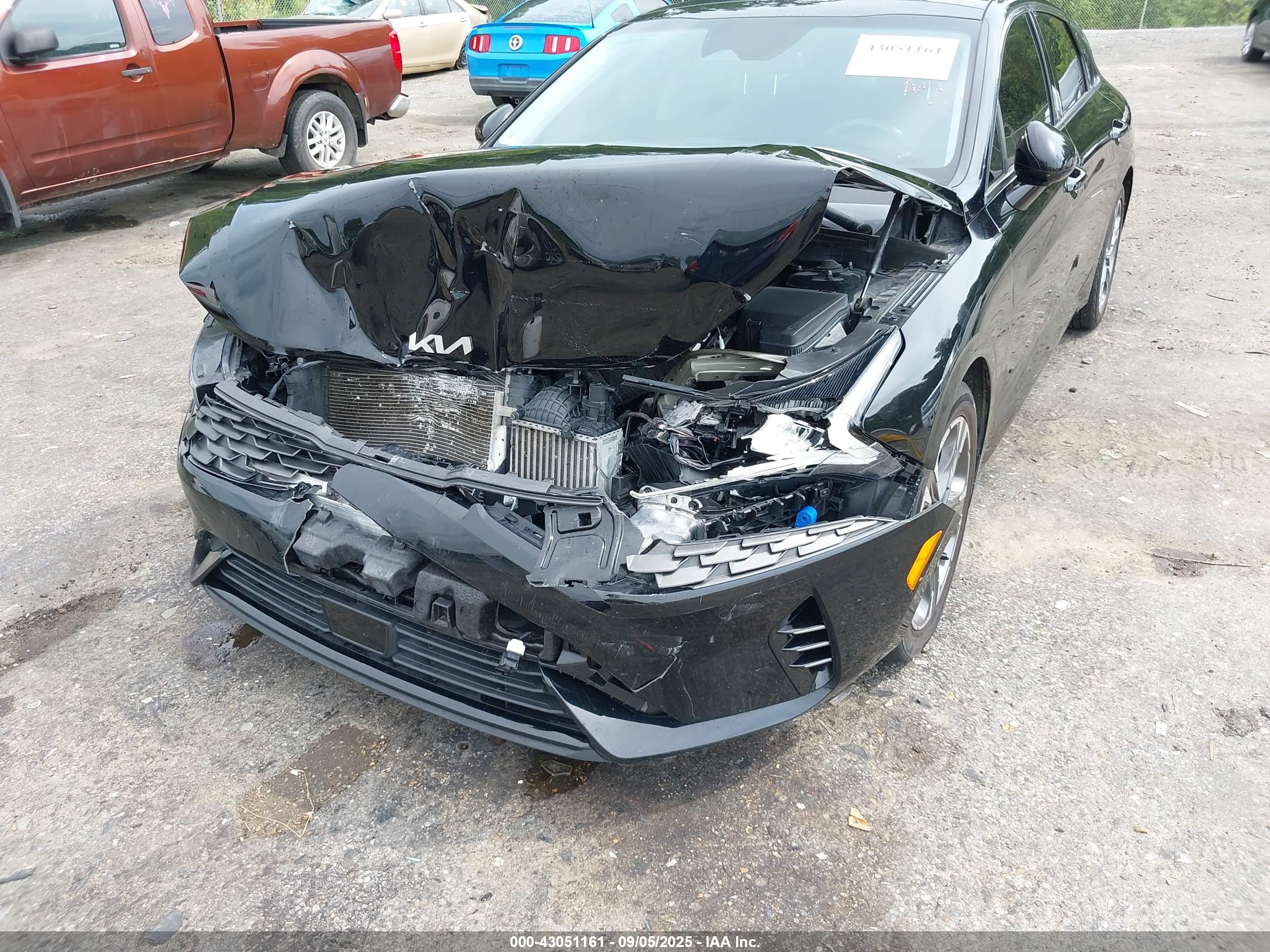 KIA K5 image 6