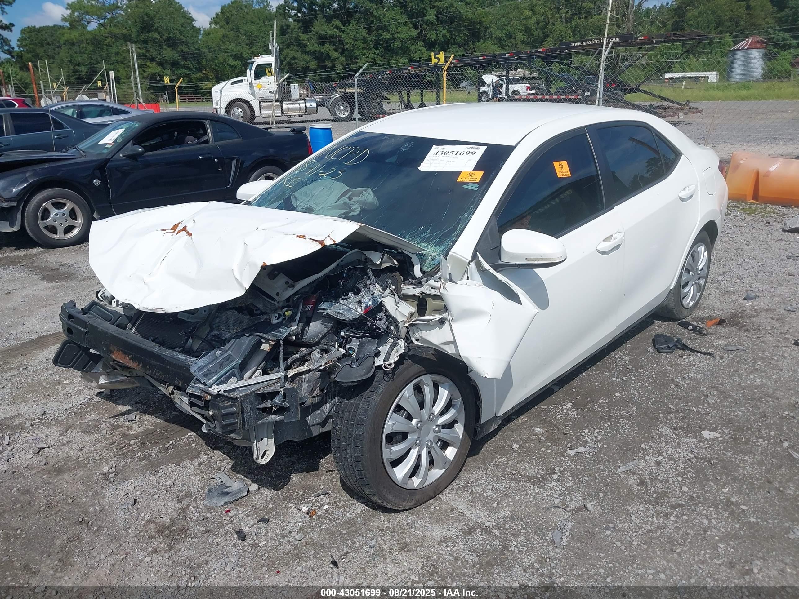TOYOTA COROLLA image 2