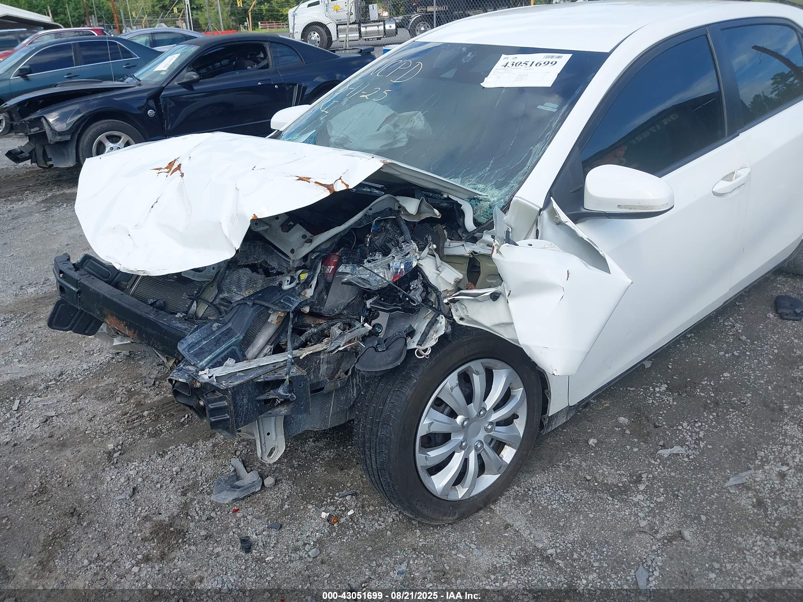 TOYOTA COROLLA image 6