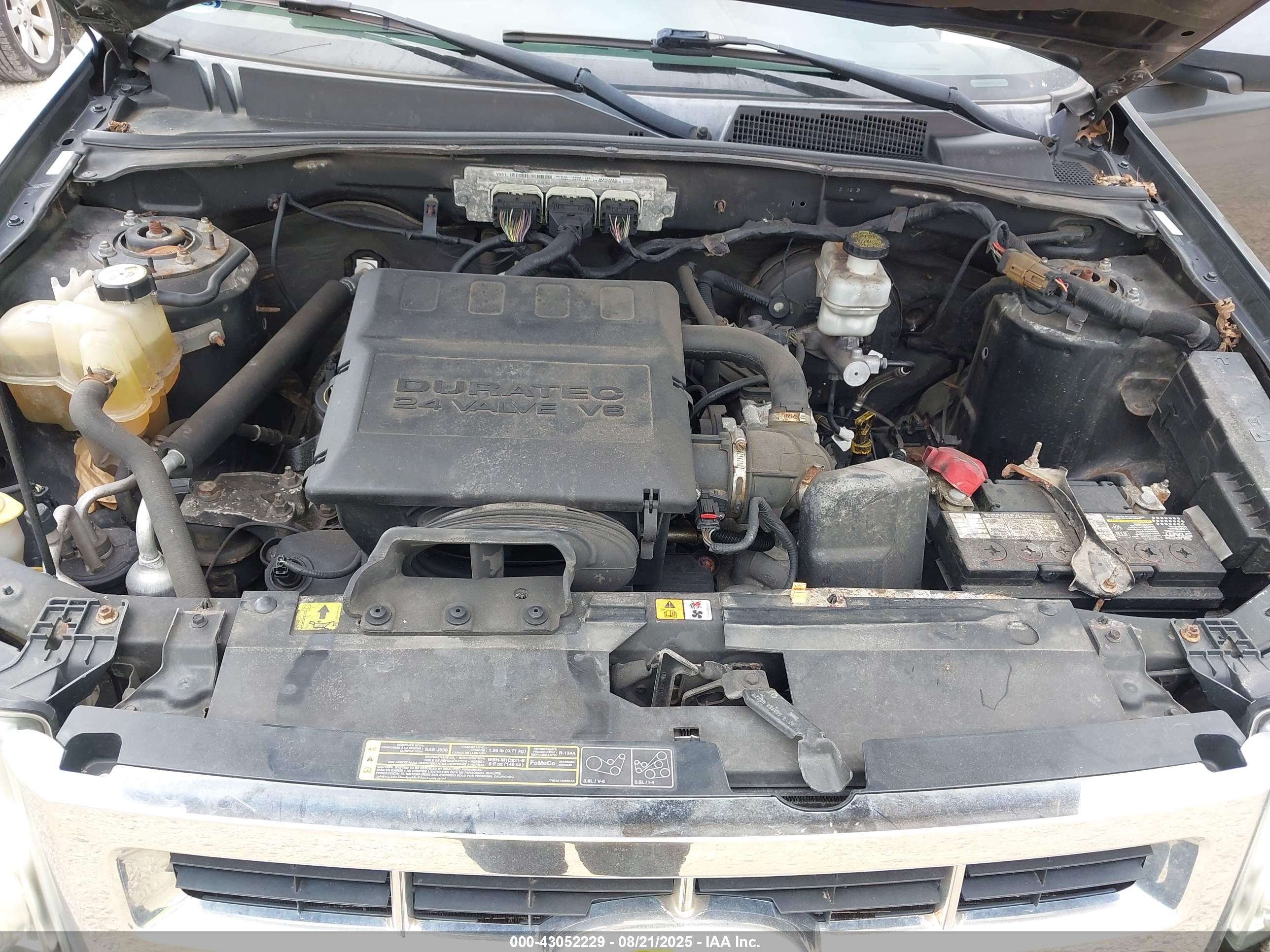 FORD ESCAPE image 10