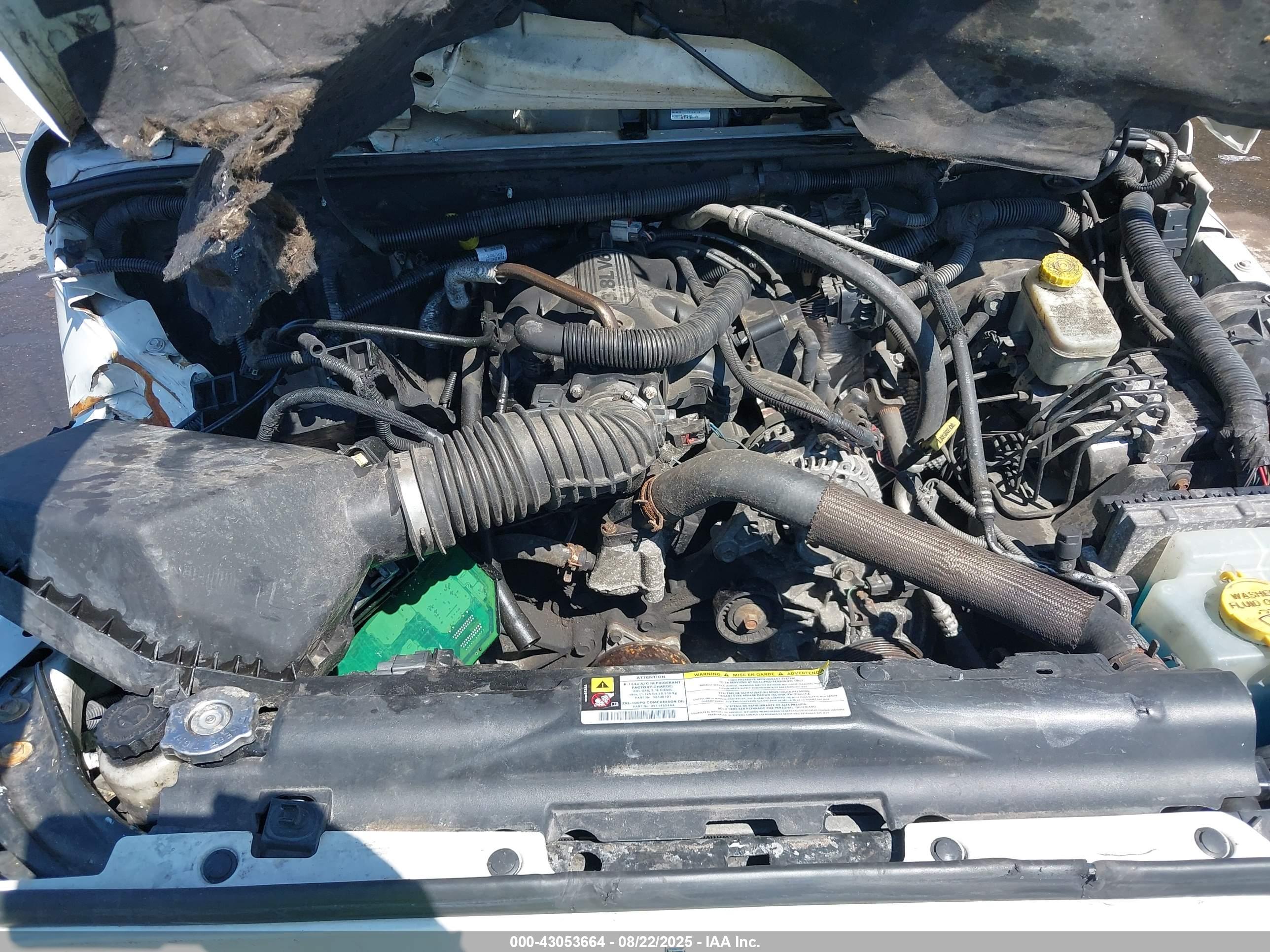 JEEP WRANGLER image 10