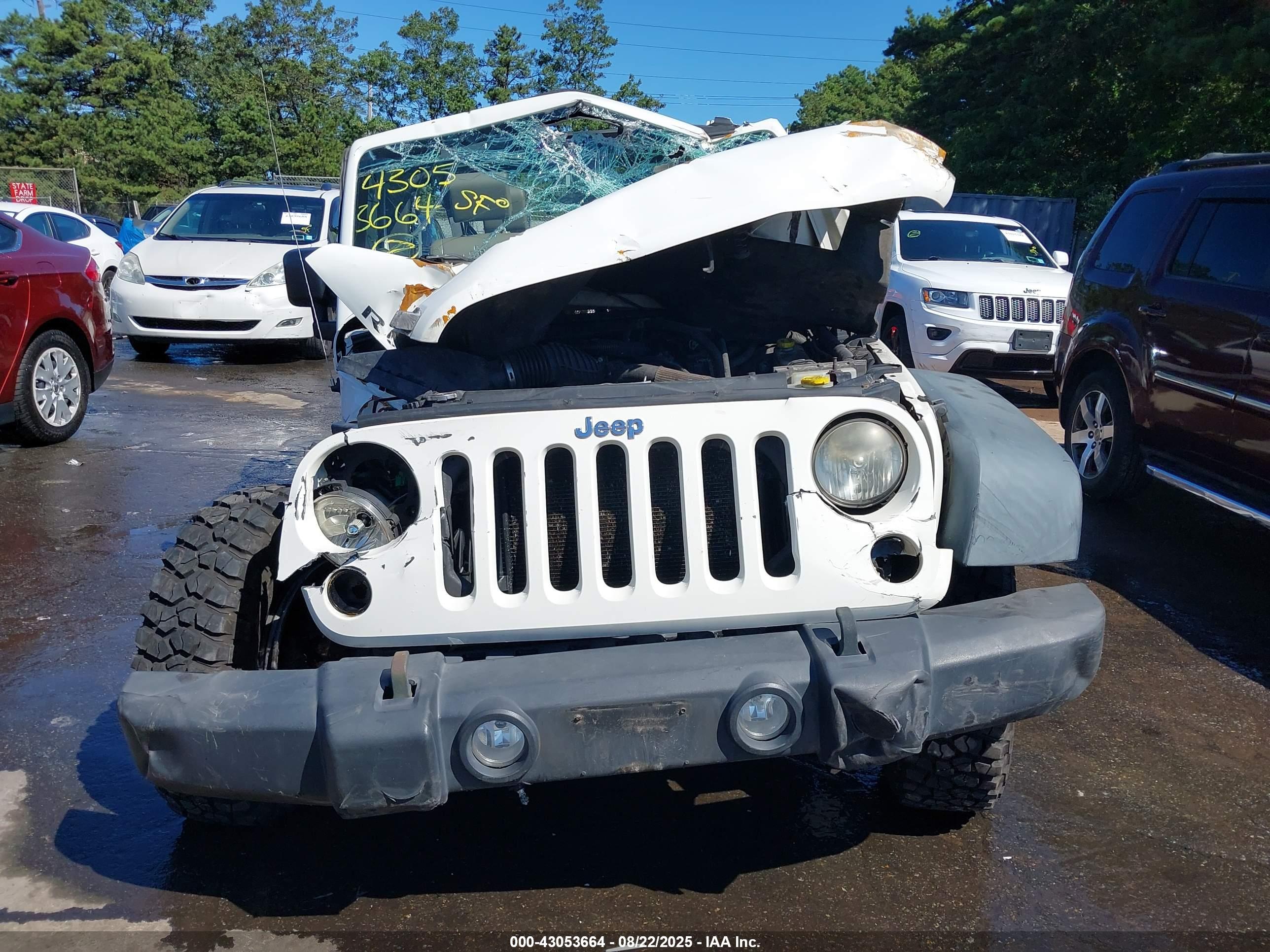 JEEP WRANGLER image 6