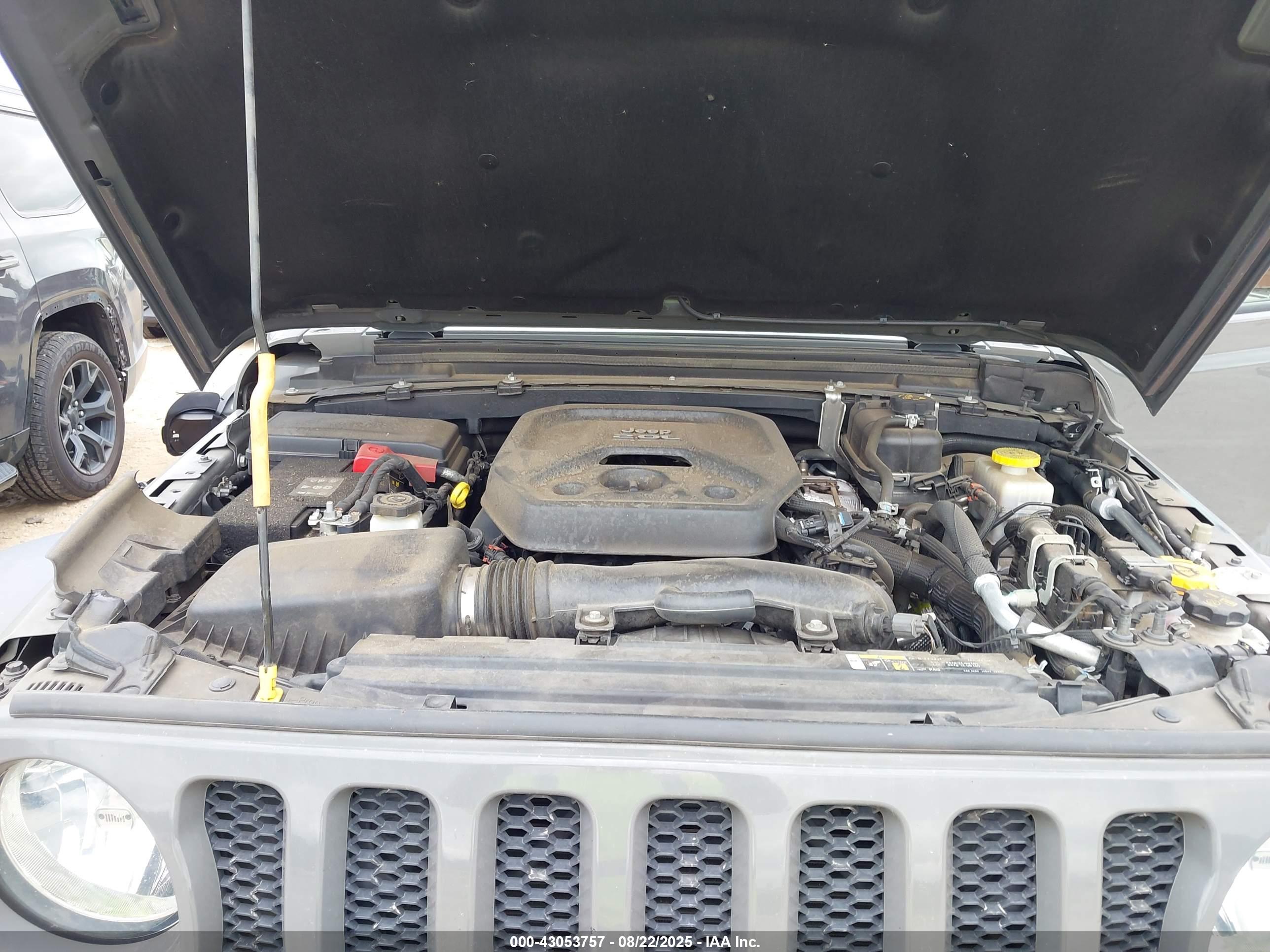 JEEP WRANGLER image 10