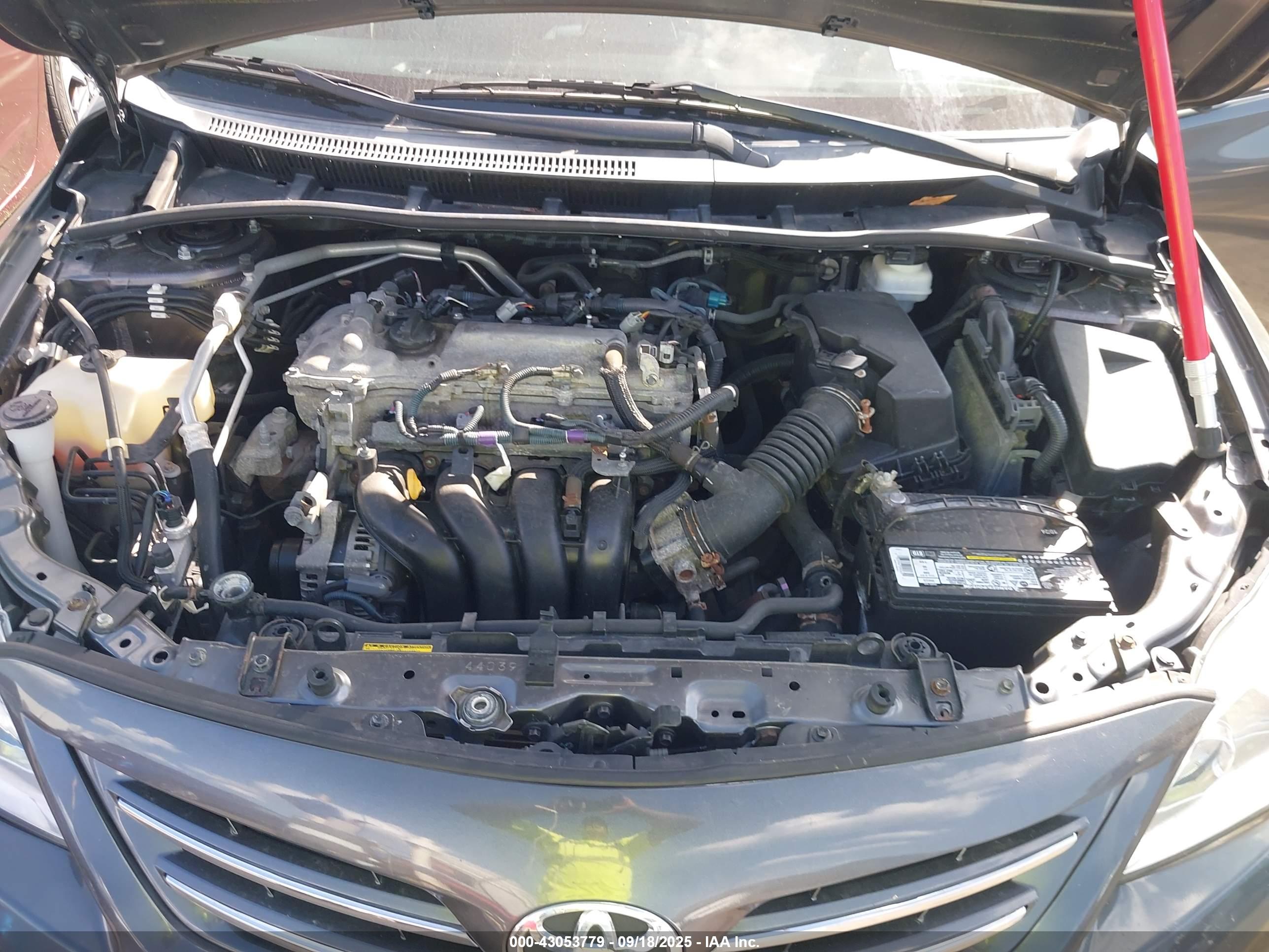 TOYOTA COROLLA image 10