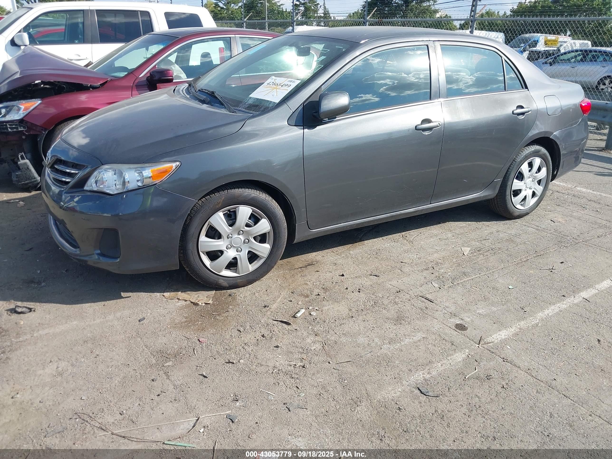 TOYOTA COROLLA image 2