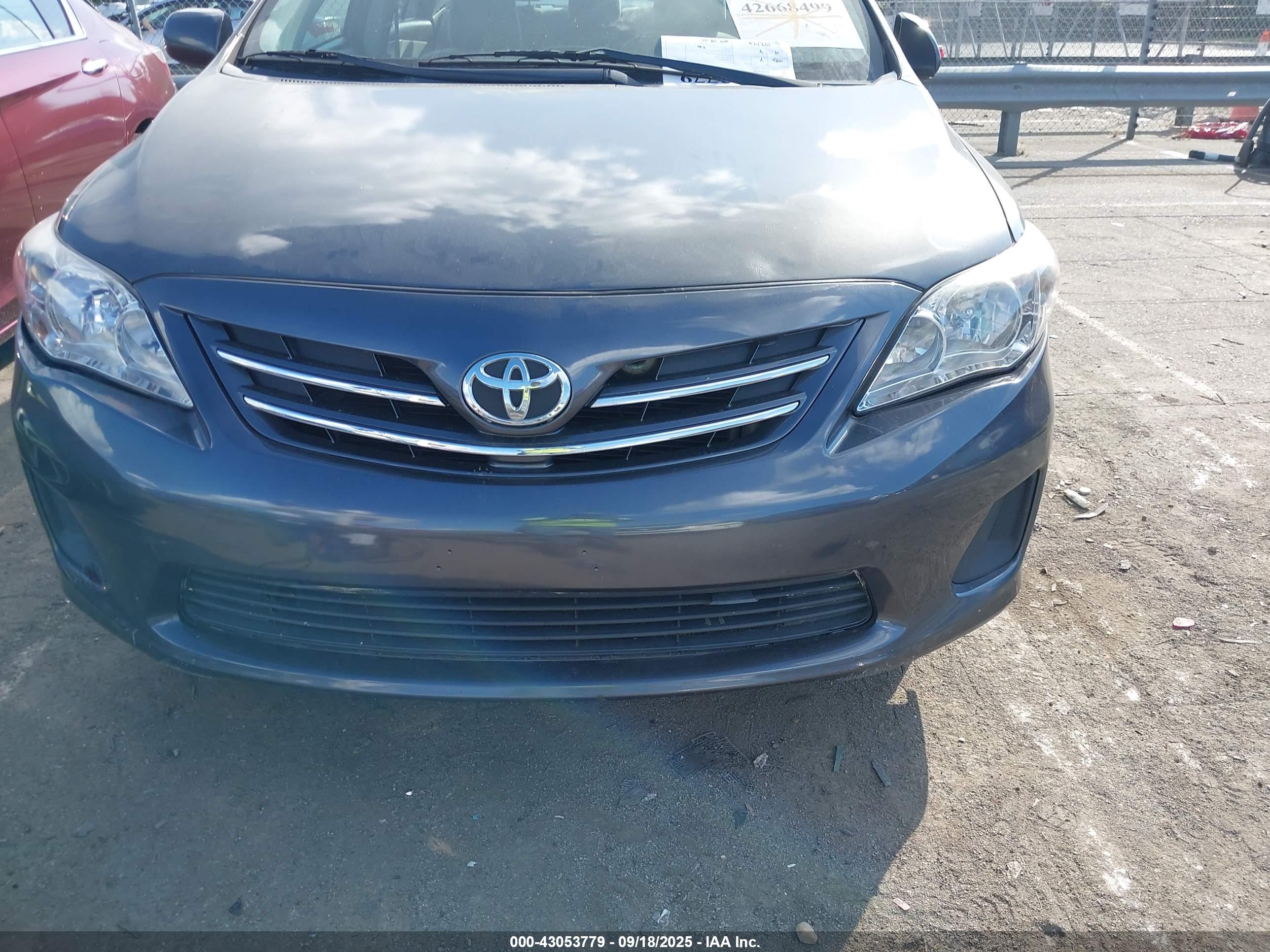 TOYOTA COROLLA image 6