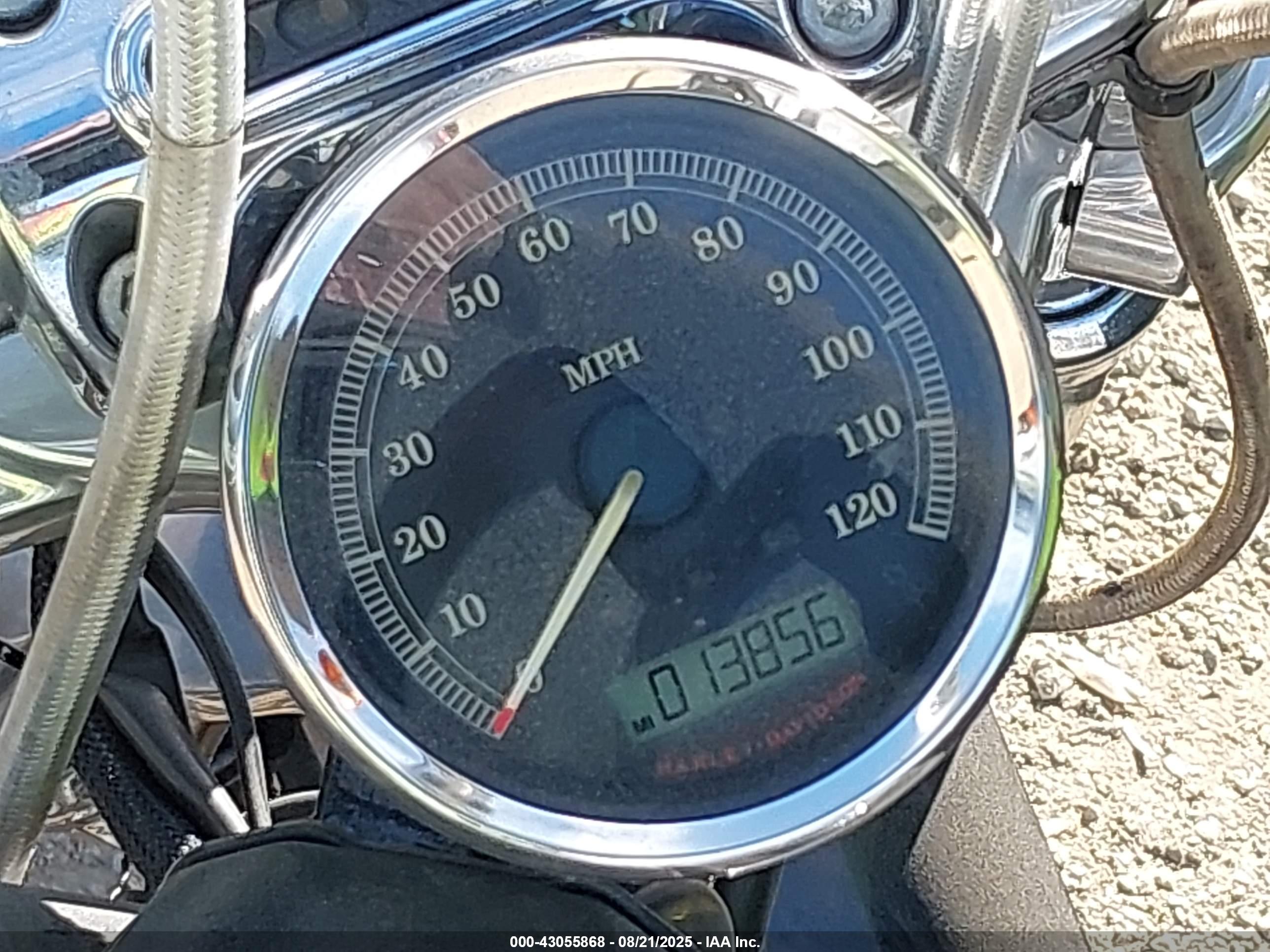HARLEY-DAVIDSON FXSB image 7