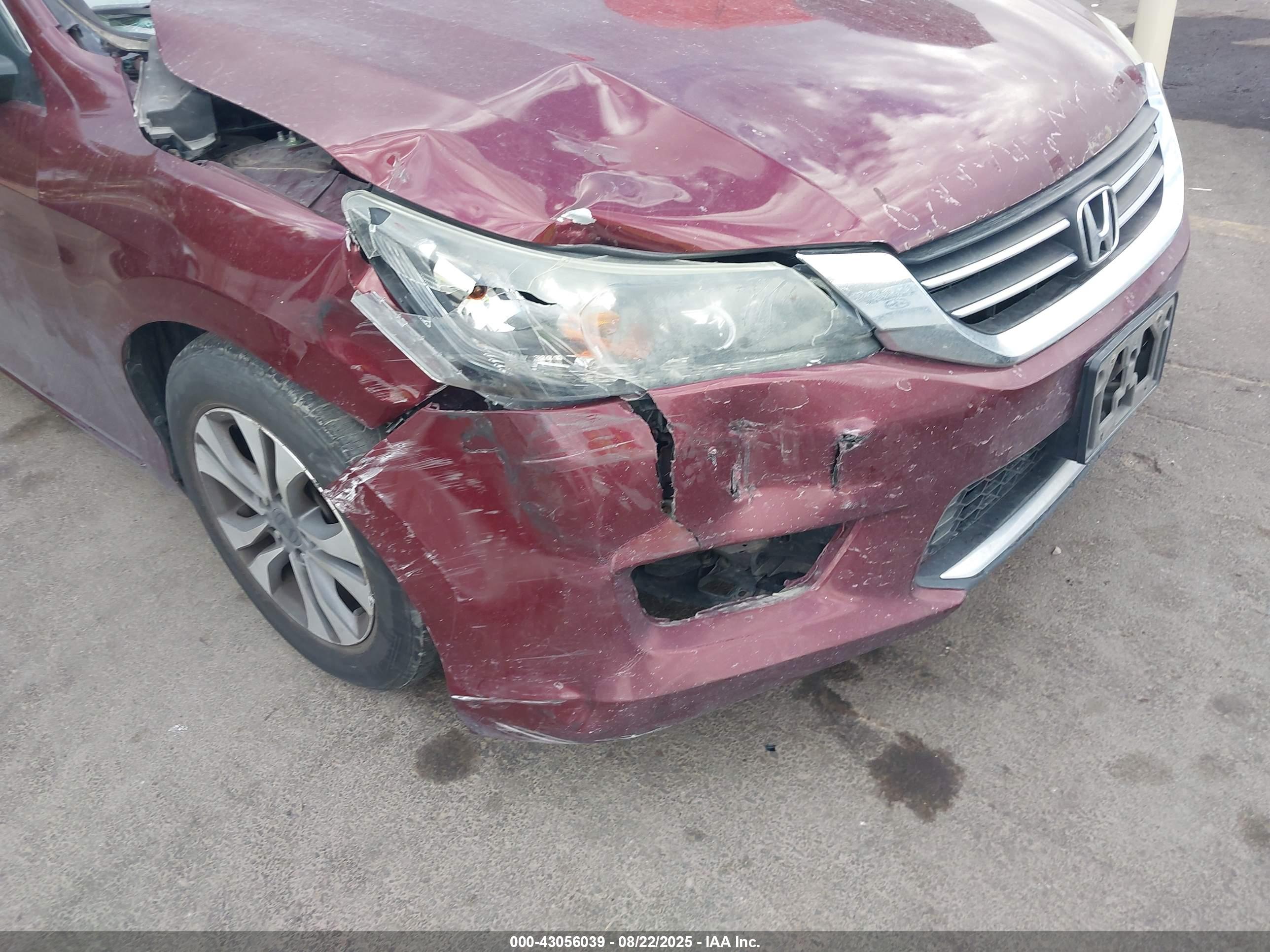 HONDA ACCORD image 6