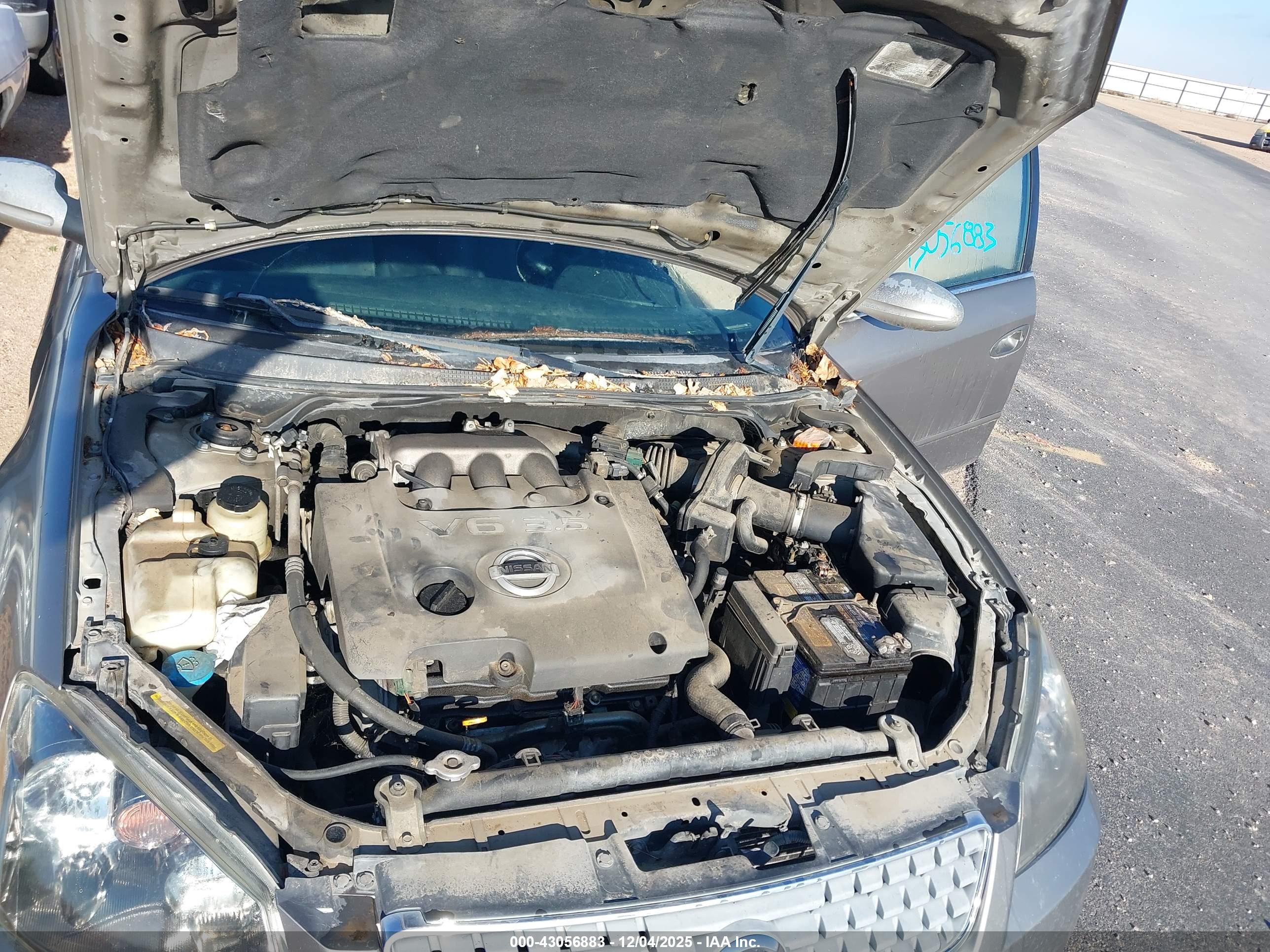 NISSAN ALTIMA image 10