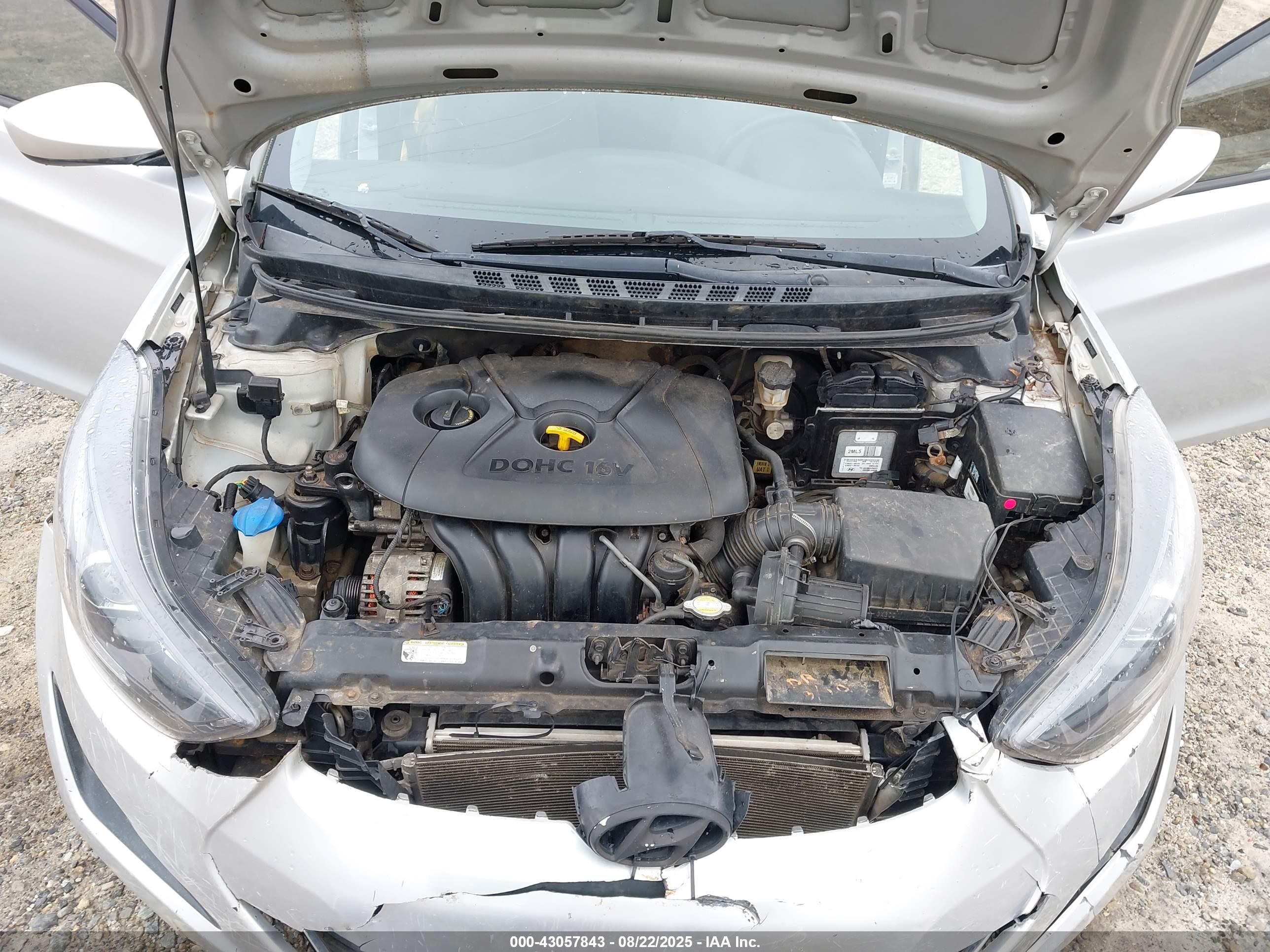 HYUNDAI ELANTRA image 10
